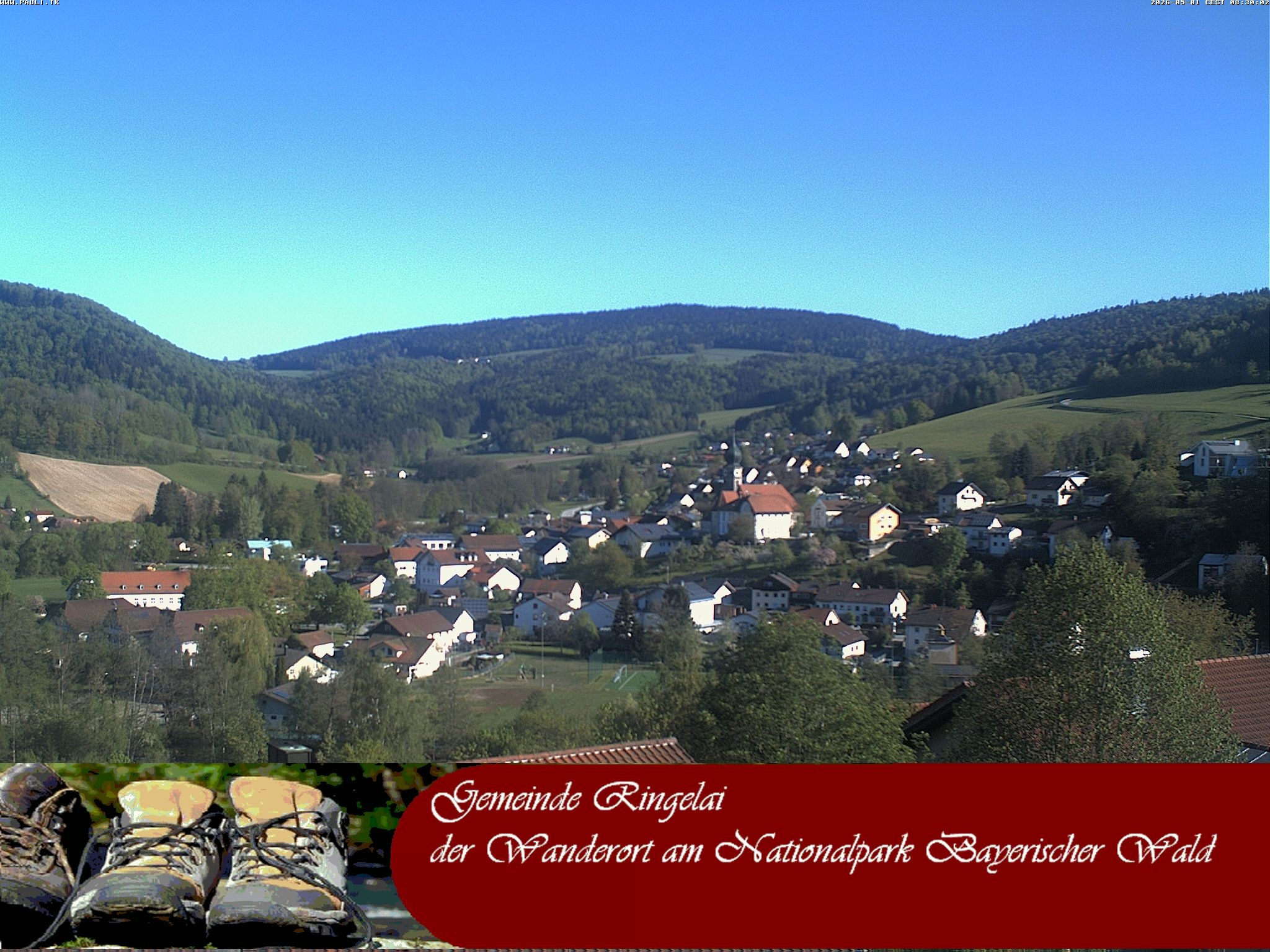 Archiv Foto Webcam Ringelai