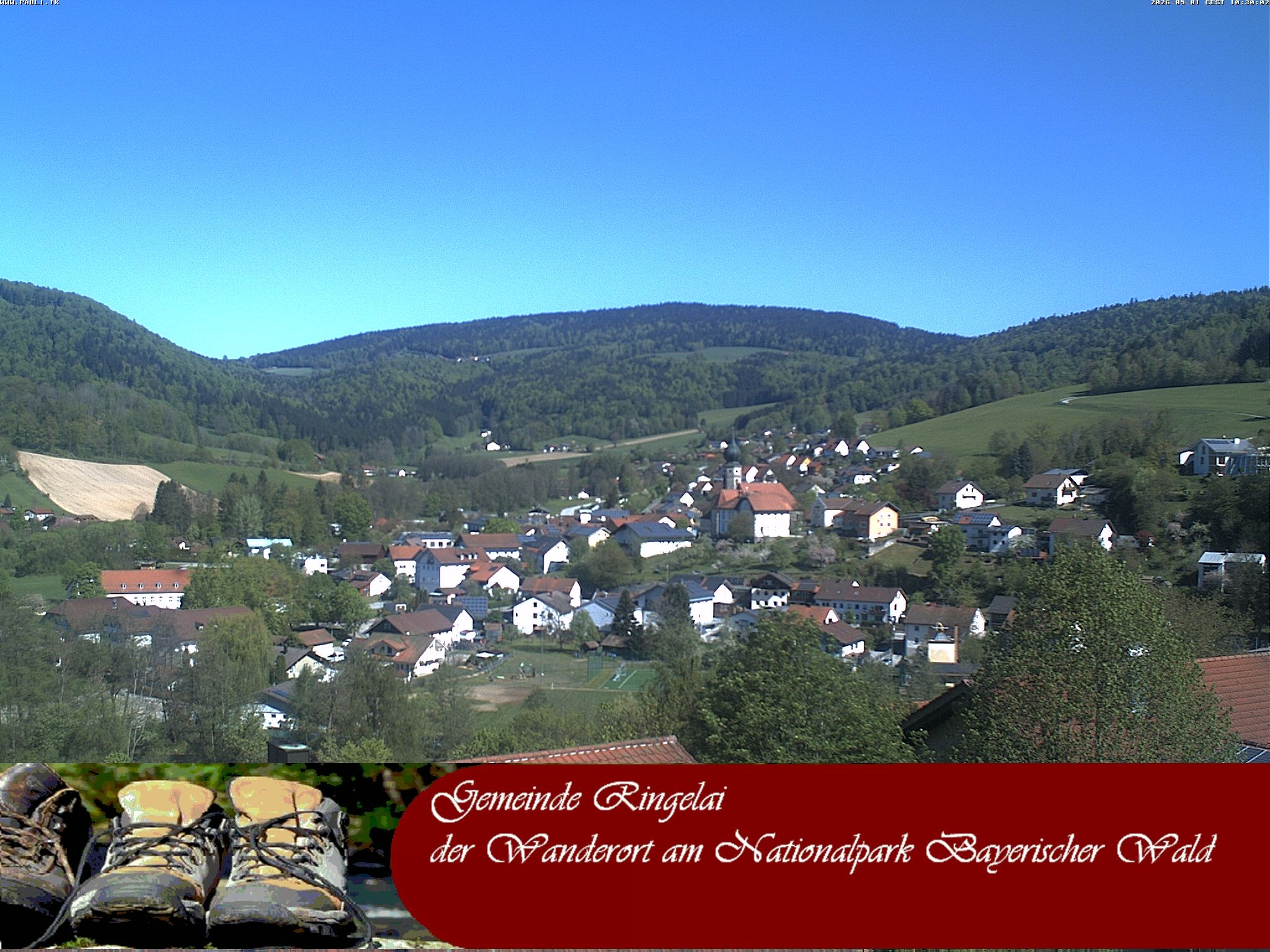 Archiv Foto Webcam Ringelai
