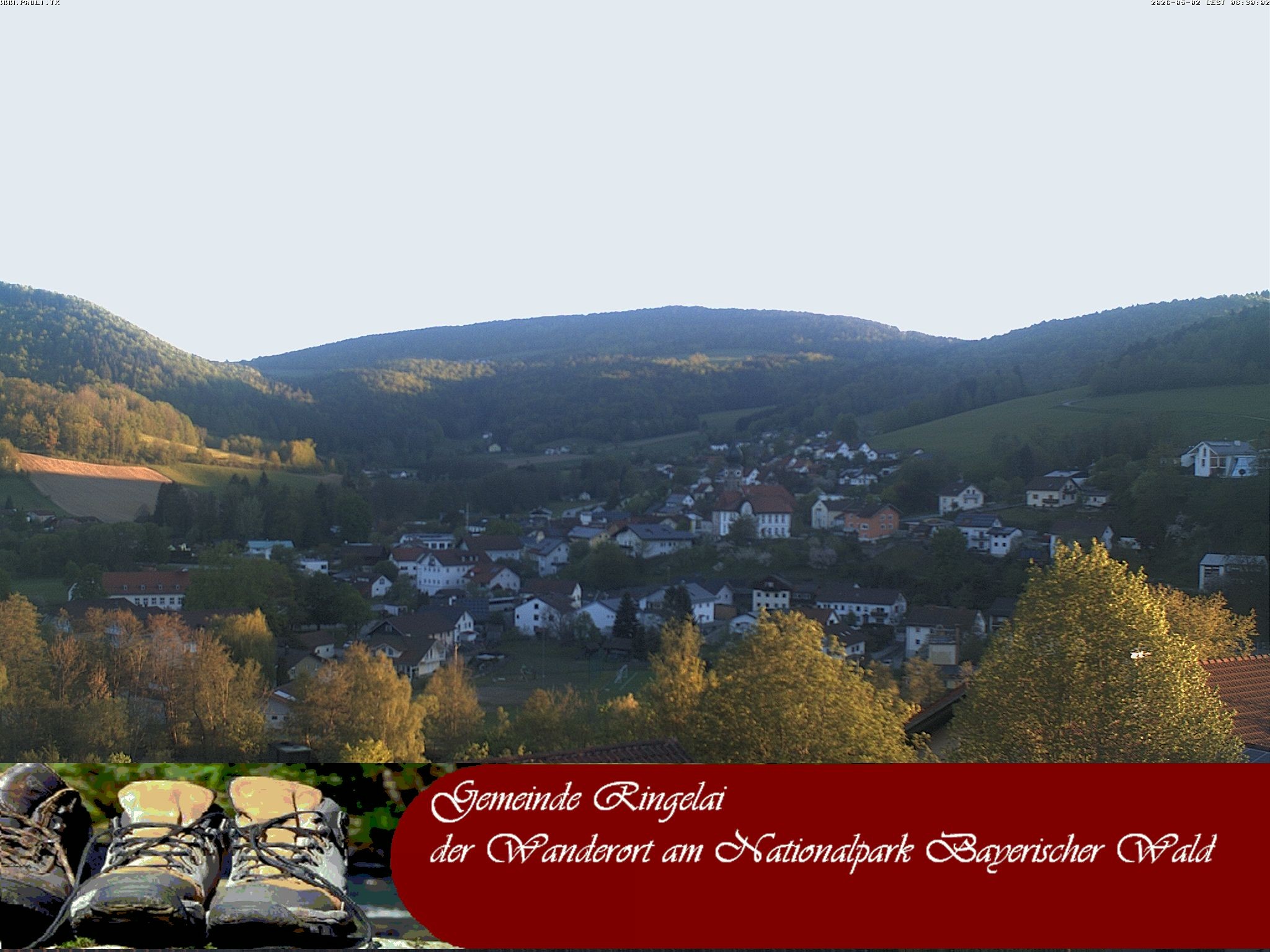 Archiv Foto Webcam Ringelai