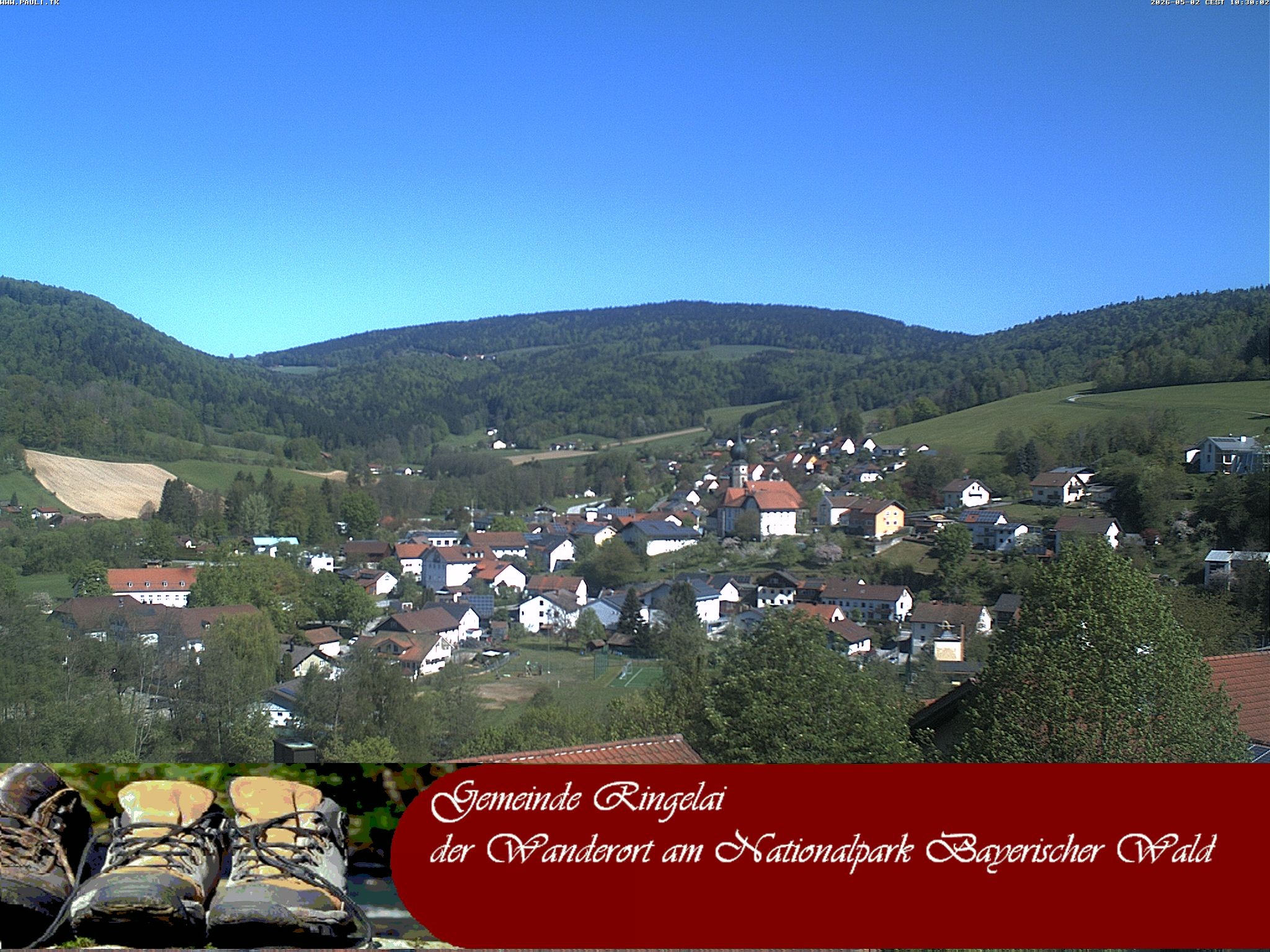 Archiv Foto Webcam Ringelai