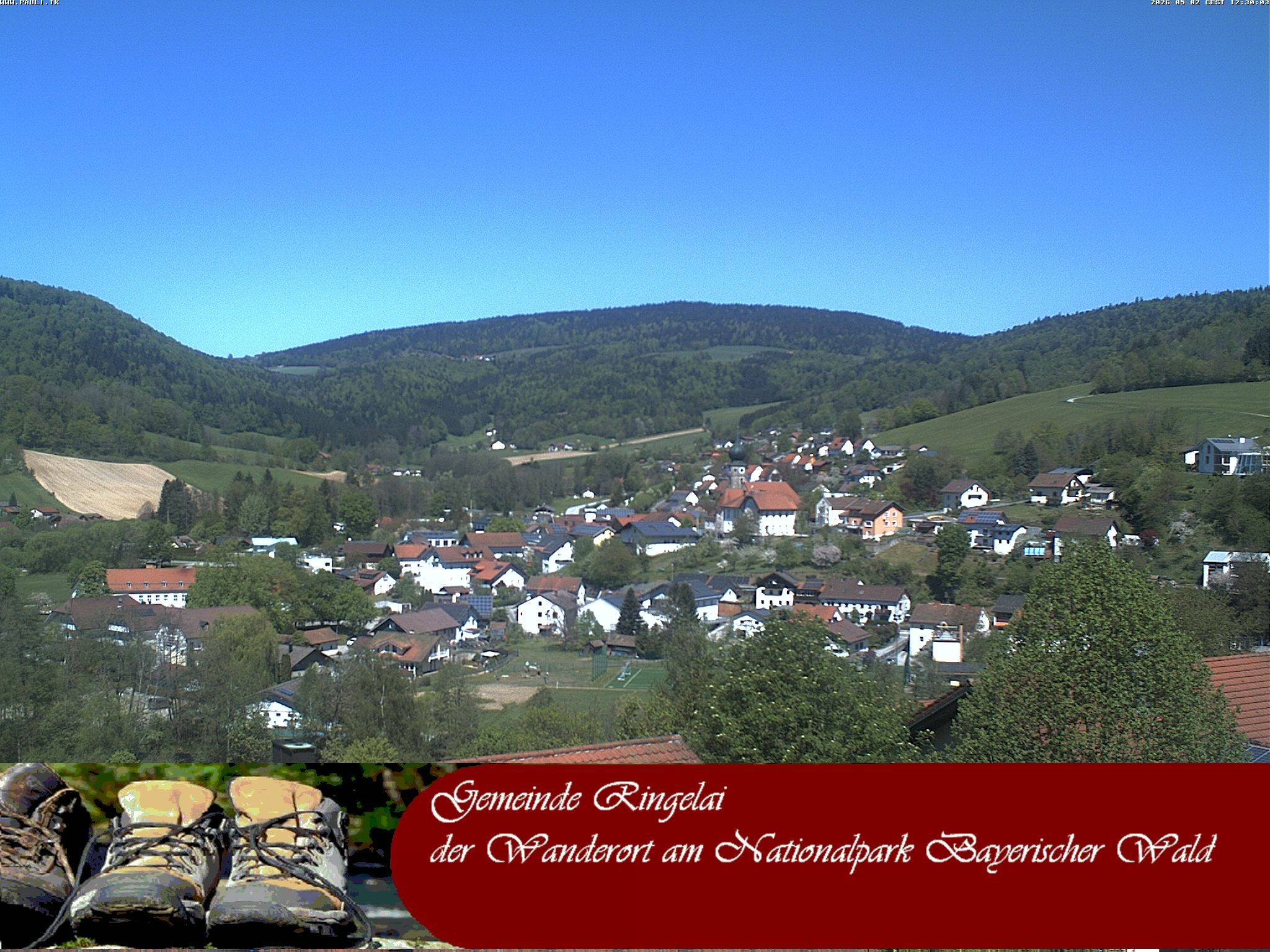 Archiv Foto Webcam Ringelai