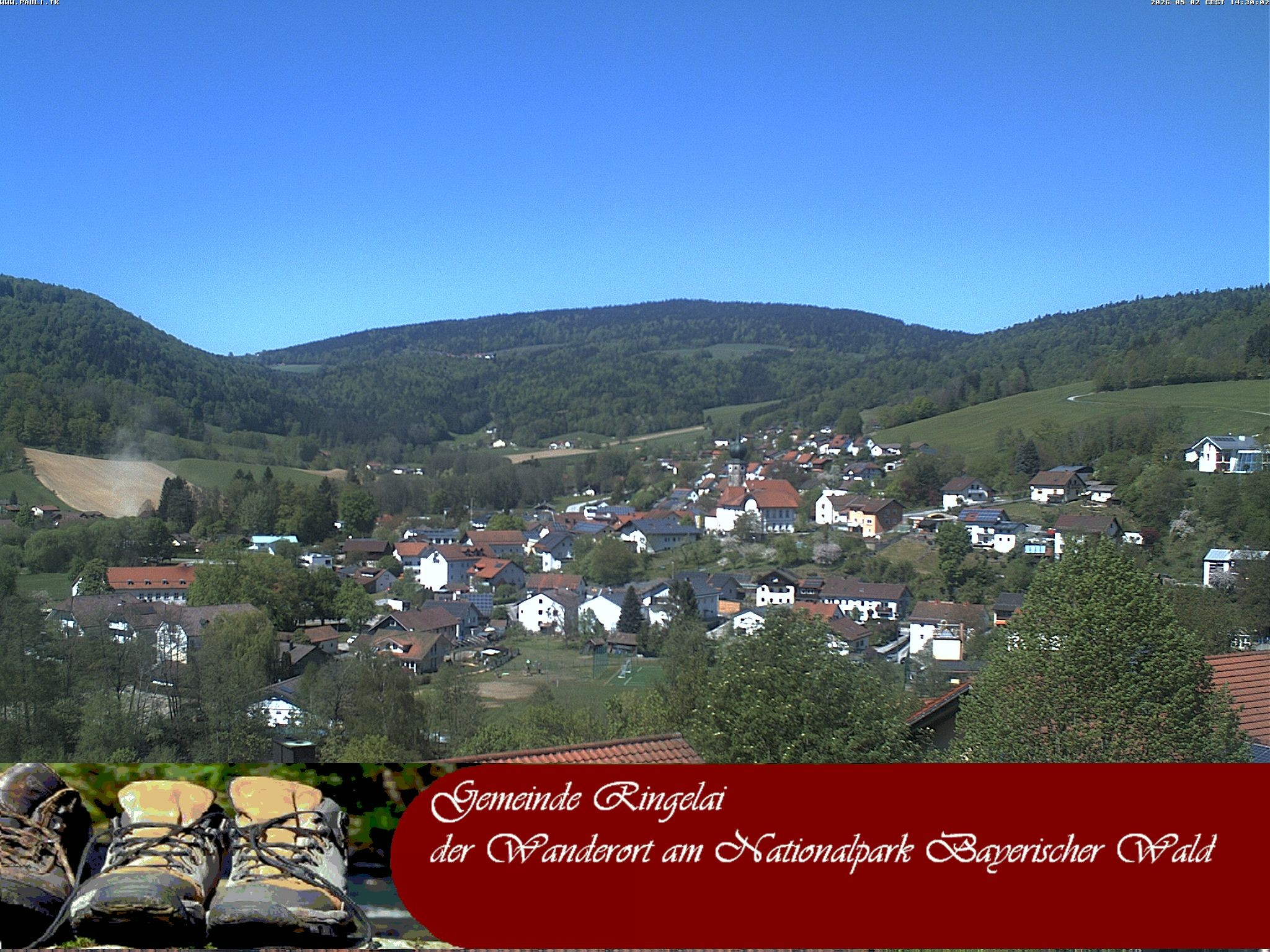 Archiv Foto Webcam Ringelai