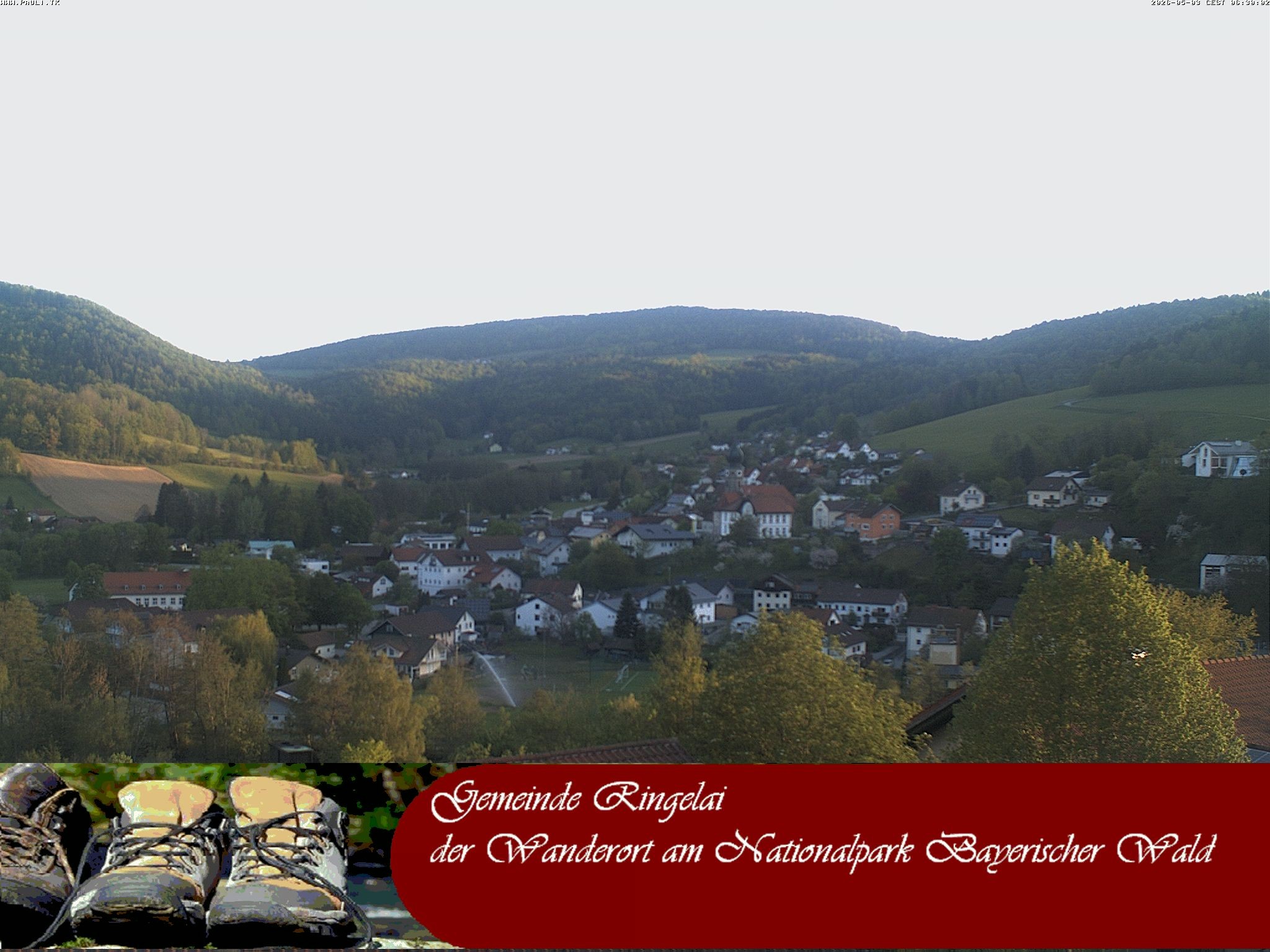 Archiv Foto Webcam Ringelai