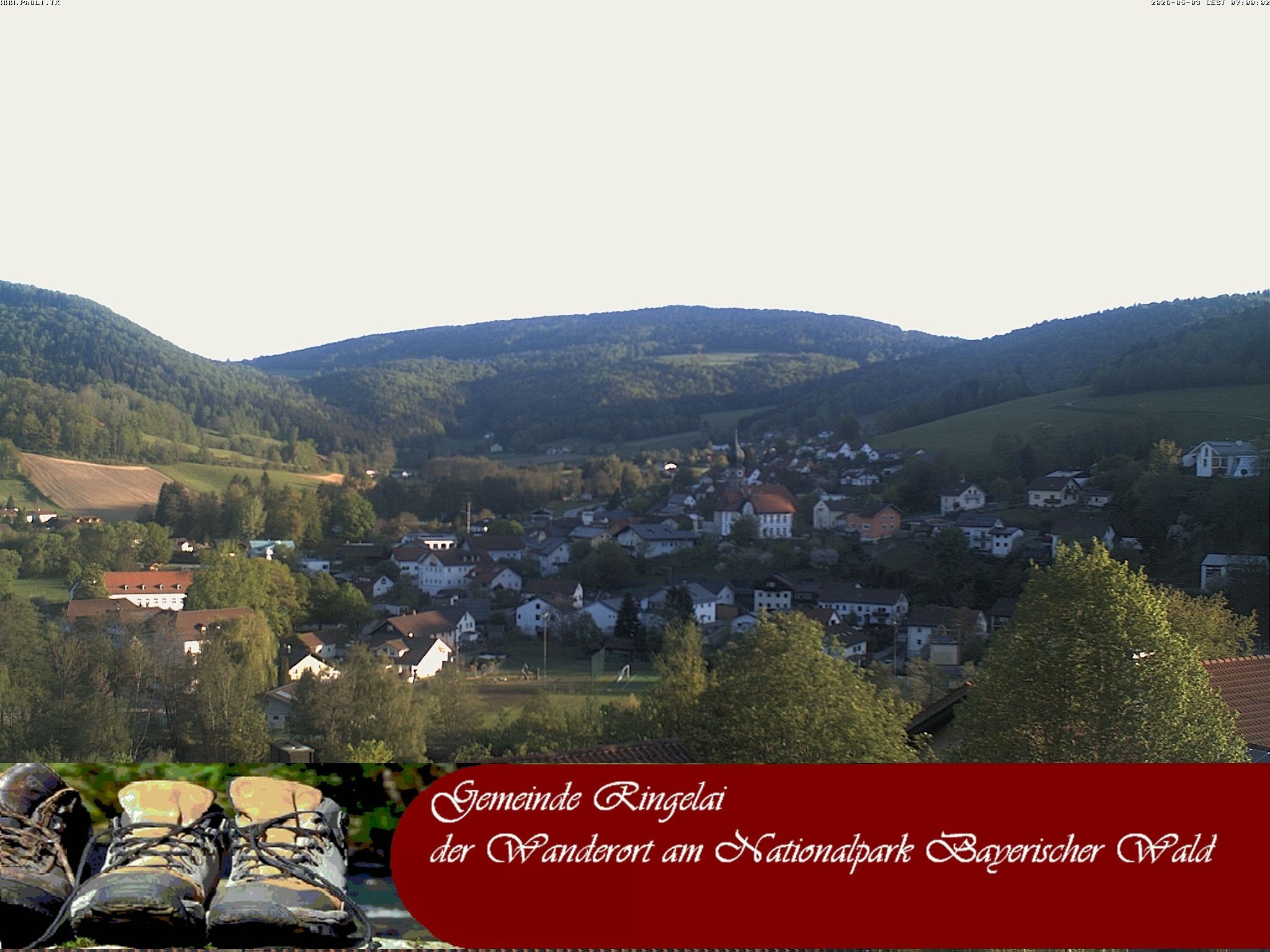 Archiv Foto Webcam Ringelai