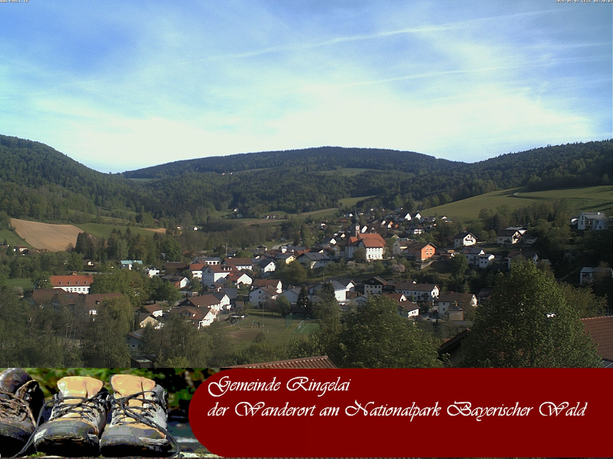 Archiv Foto Webcam Ringelai