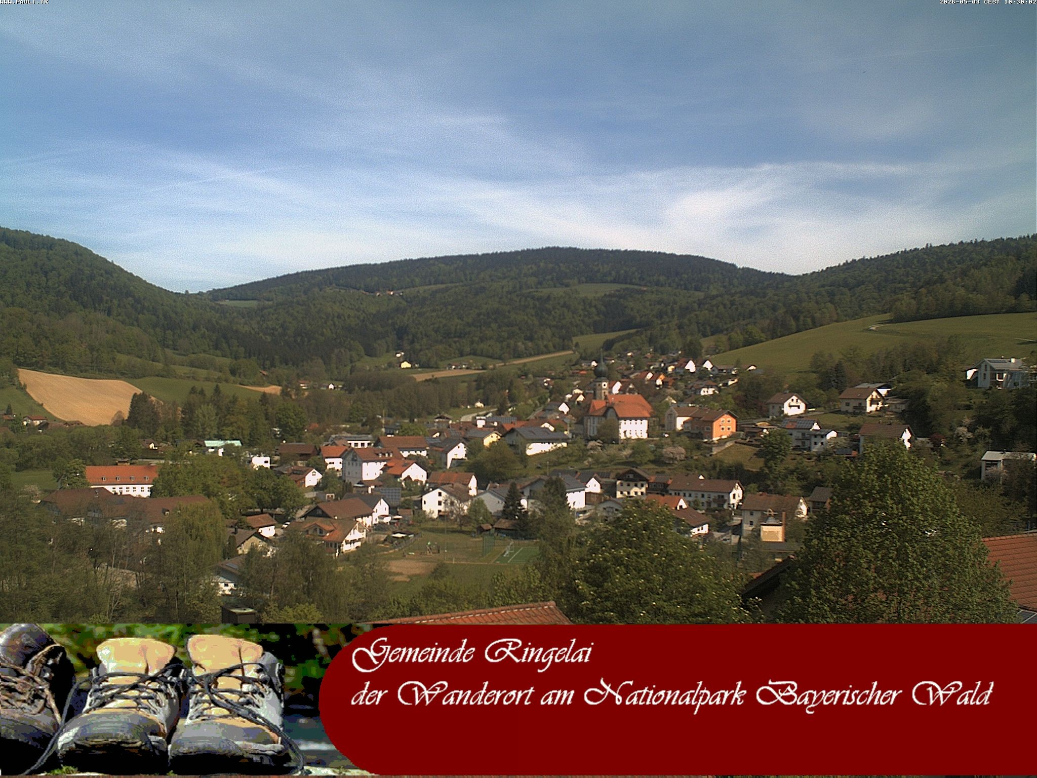 Archiv Foto Webcam Ringelai
