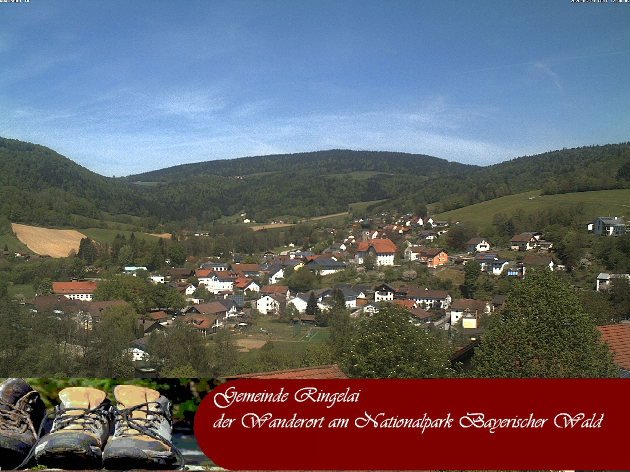 Archiv Foto Webcam Ringelai