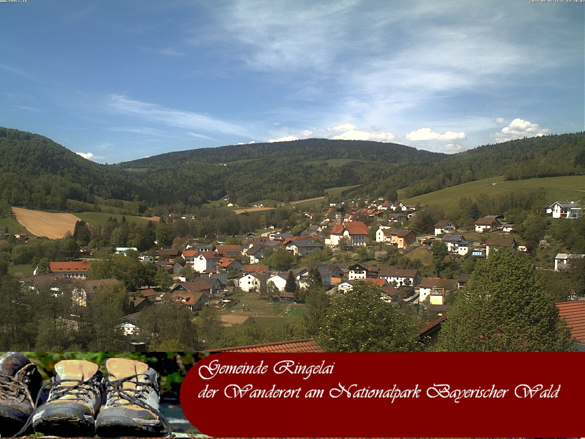 Archiv Foto Webcam Ringelai