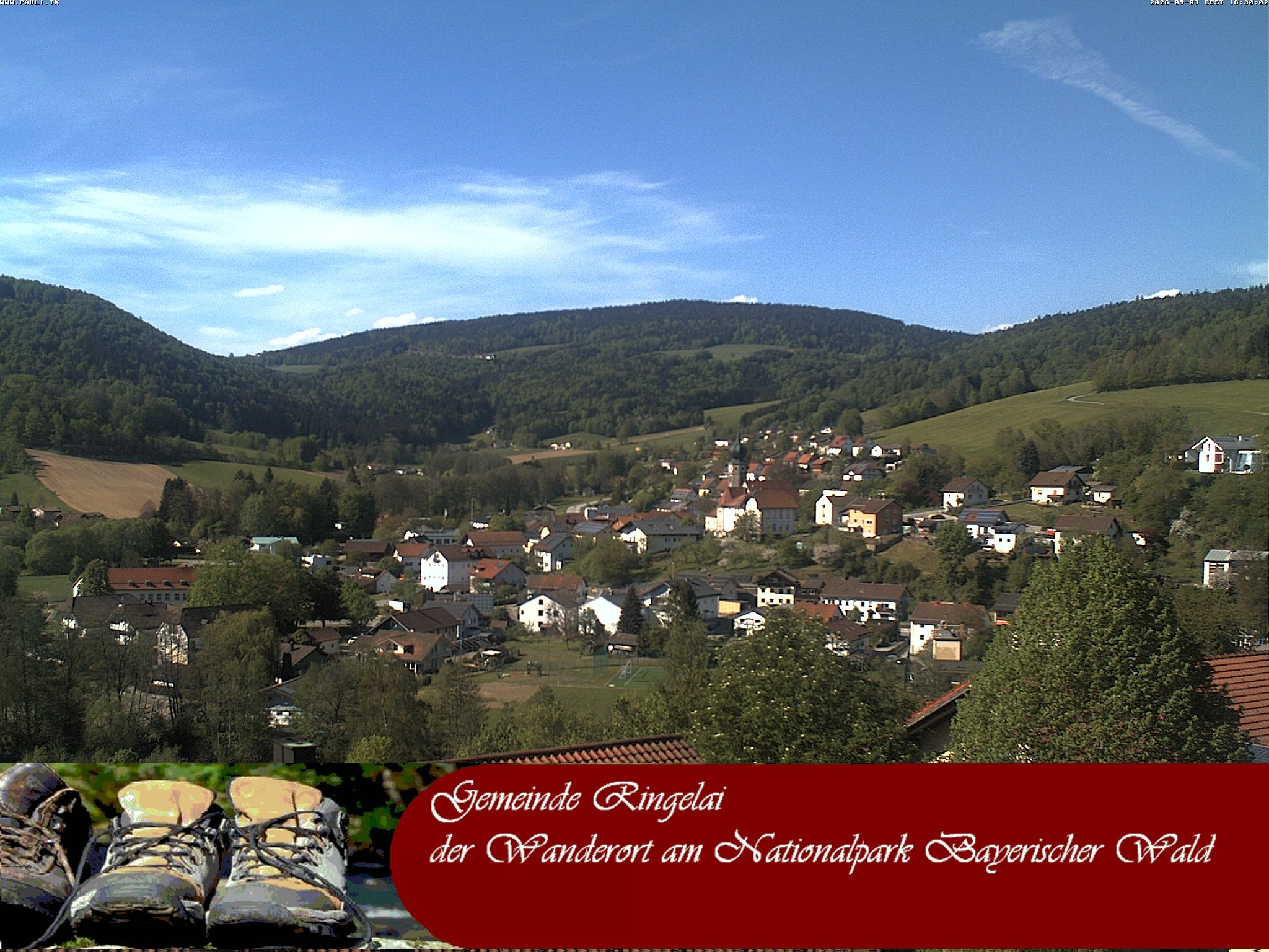 Archiv Foto Webcam Ringelai