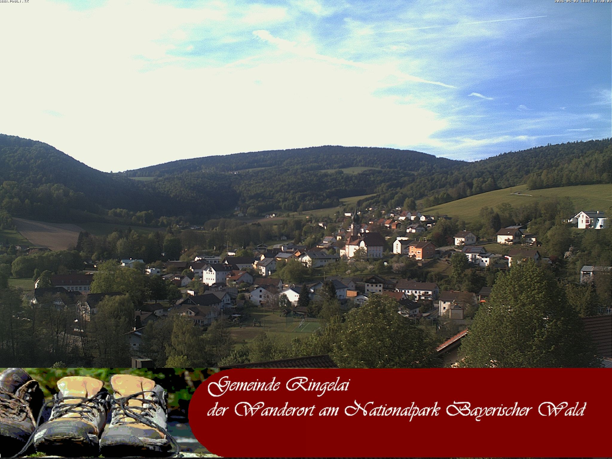 Archiv Foto Webcam Ringelai