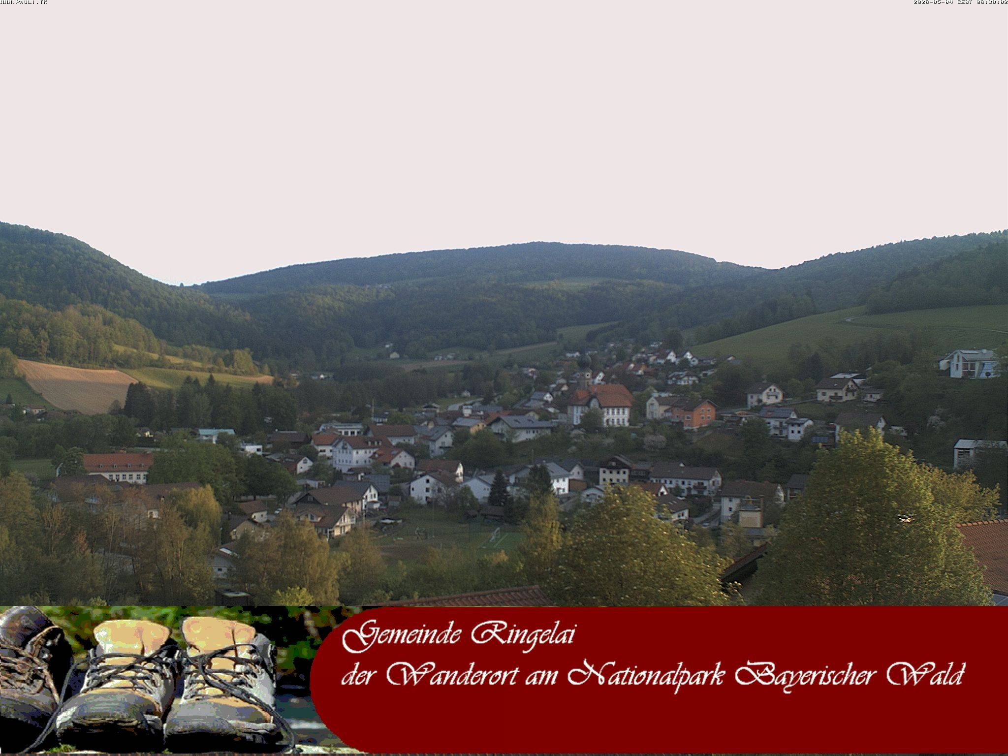 Archiv Foto Webcam Ringelai