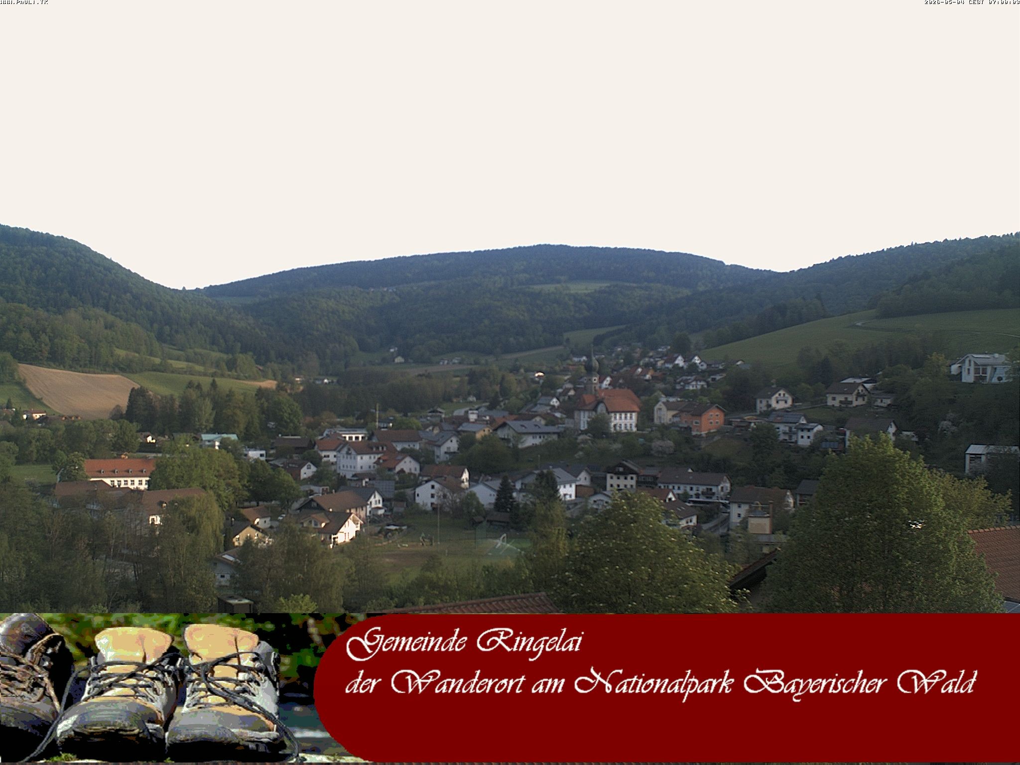 Archiv Foto Webcam Ringelai