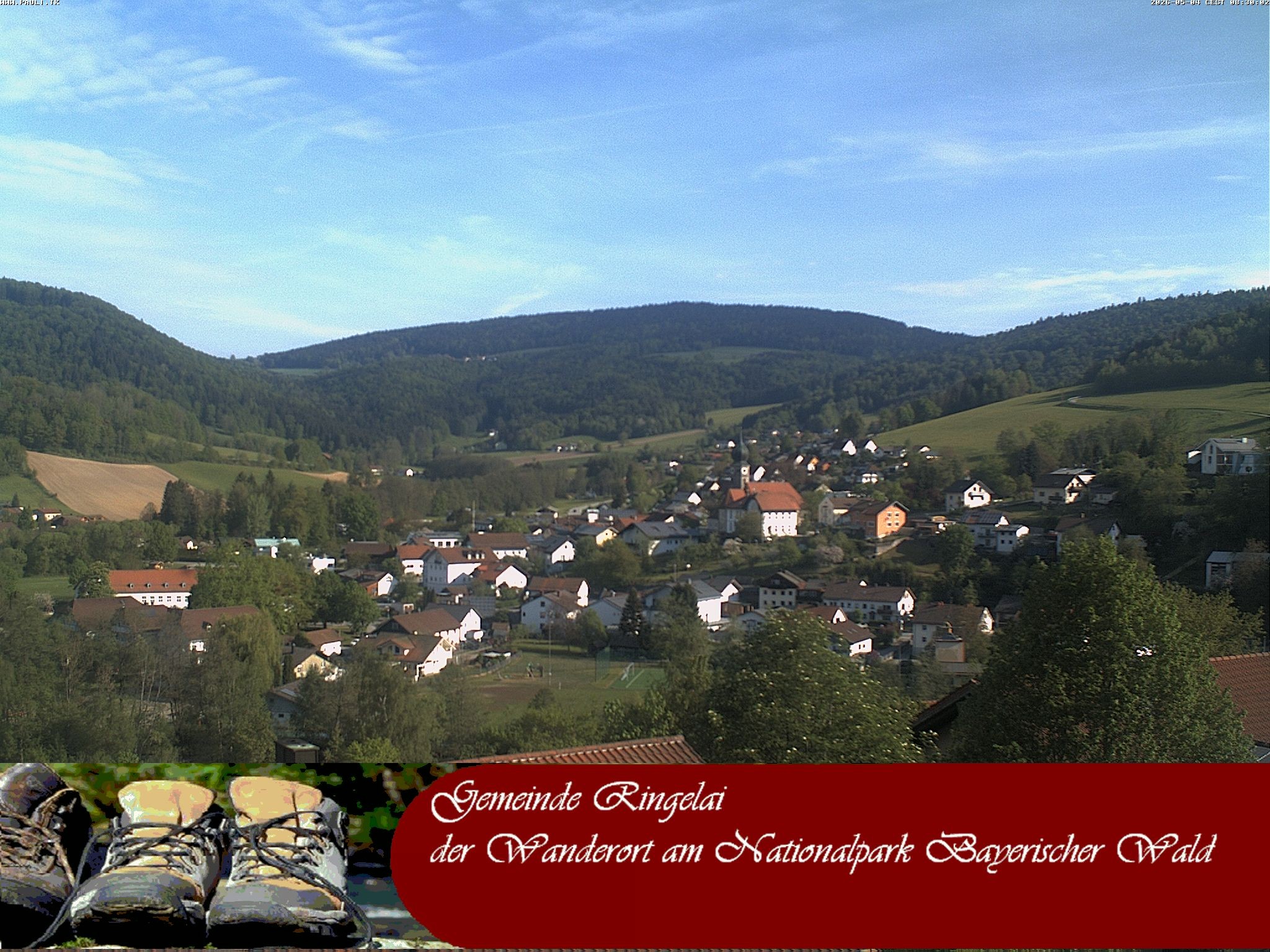 Archiv Foto Webcam Ringelai