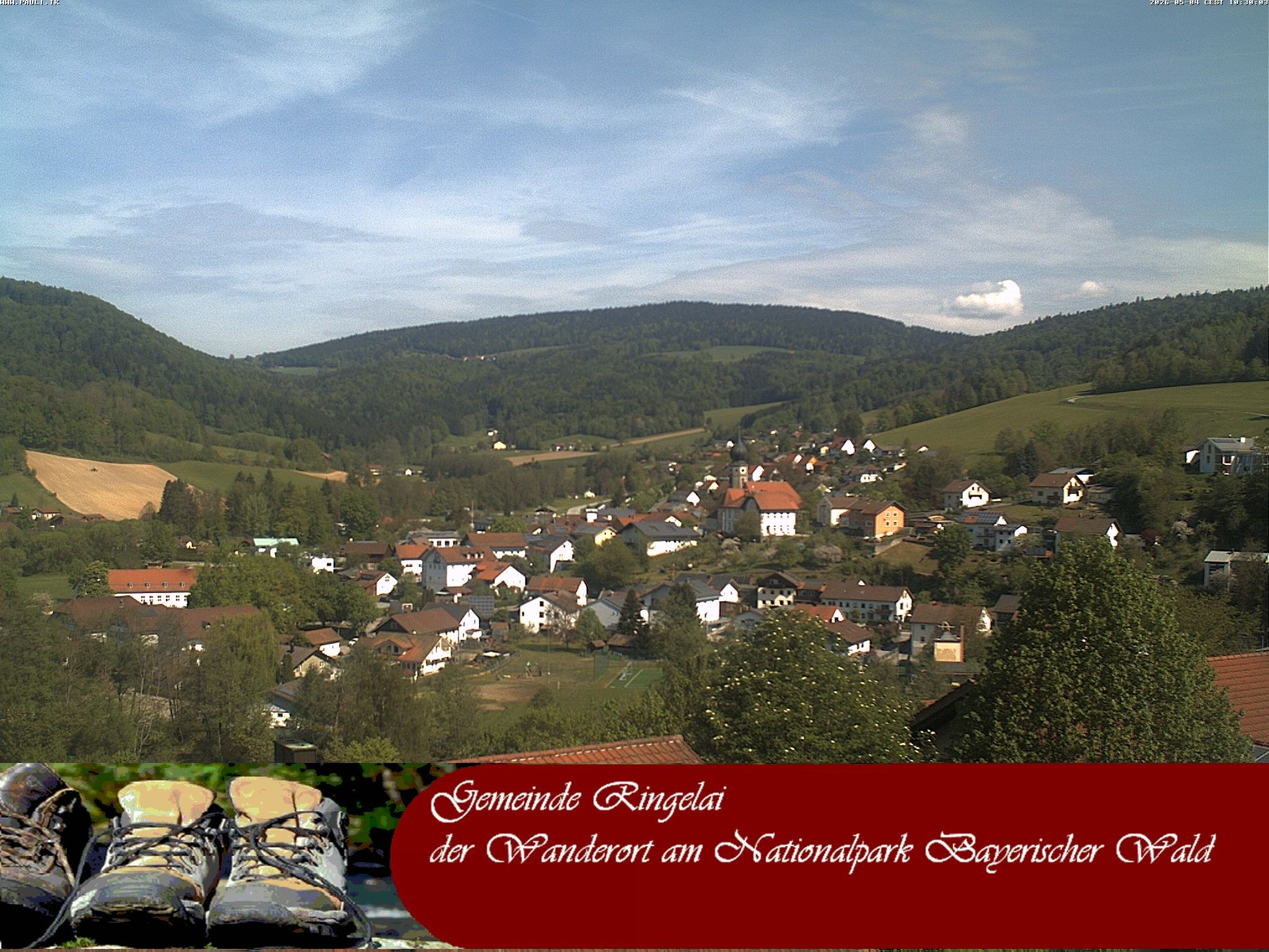 Archiv Foto Webcam Ringelai