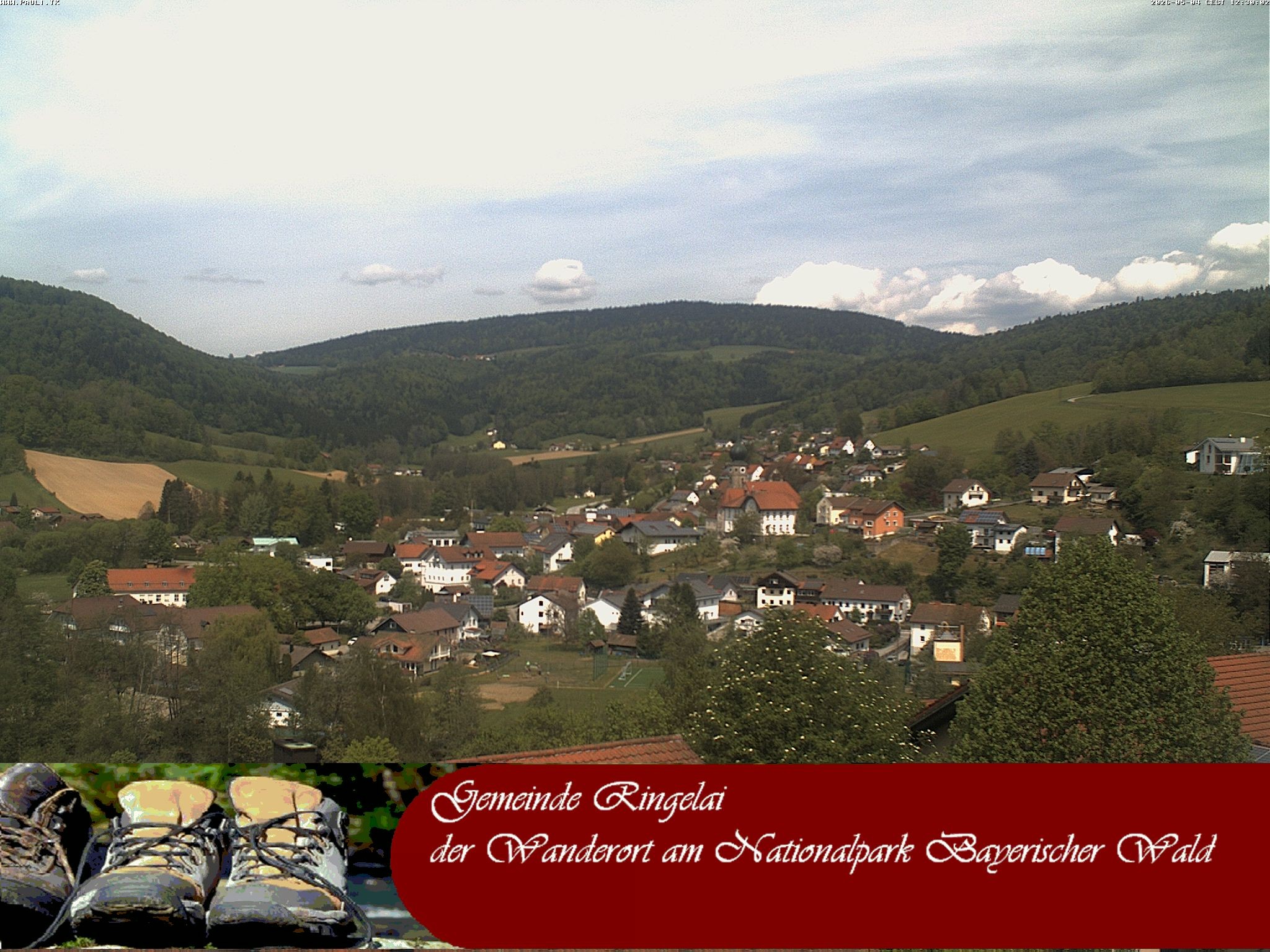Archiv Foto Webcam Ringelai