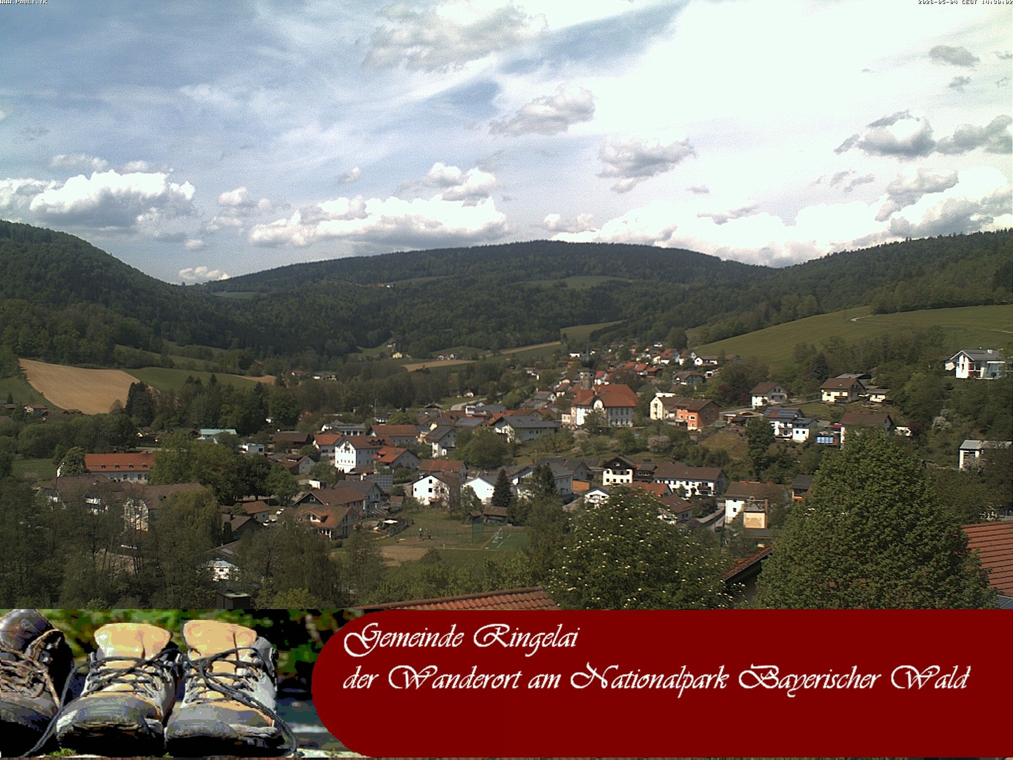 Archiv Foto Webcam Ringelai