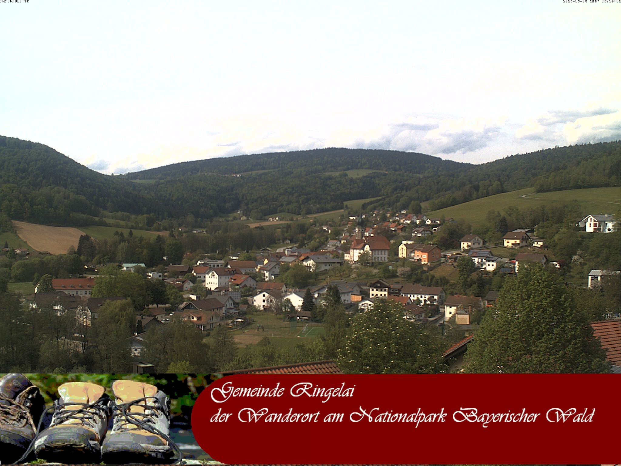 Archiv Foto Webcam Ringelai