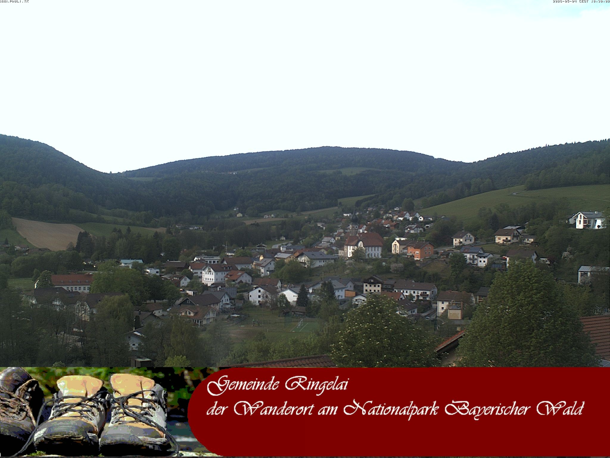 Archiv Foto Webcam Ringelai