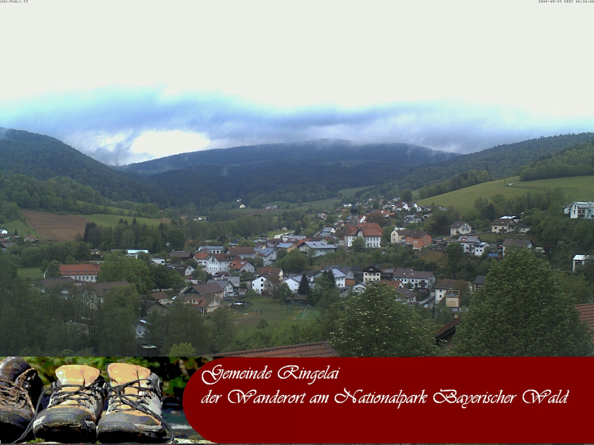 Archiv Foto Webcam Ringelai
