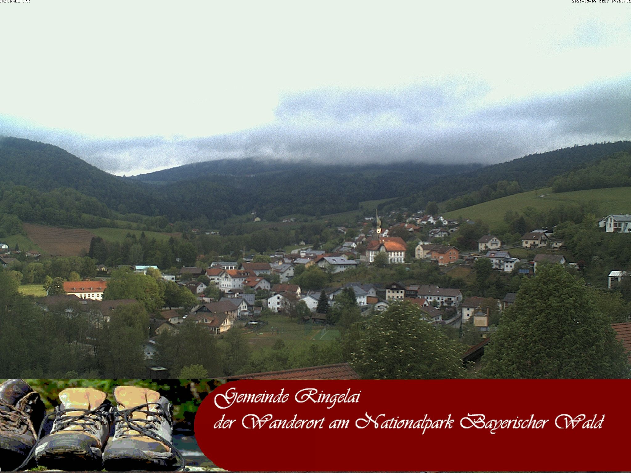 Archiv Foto Webcam Ringelai