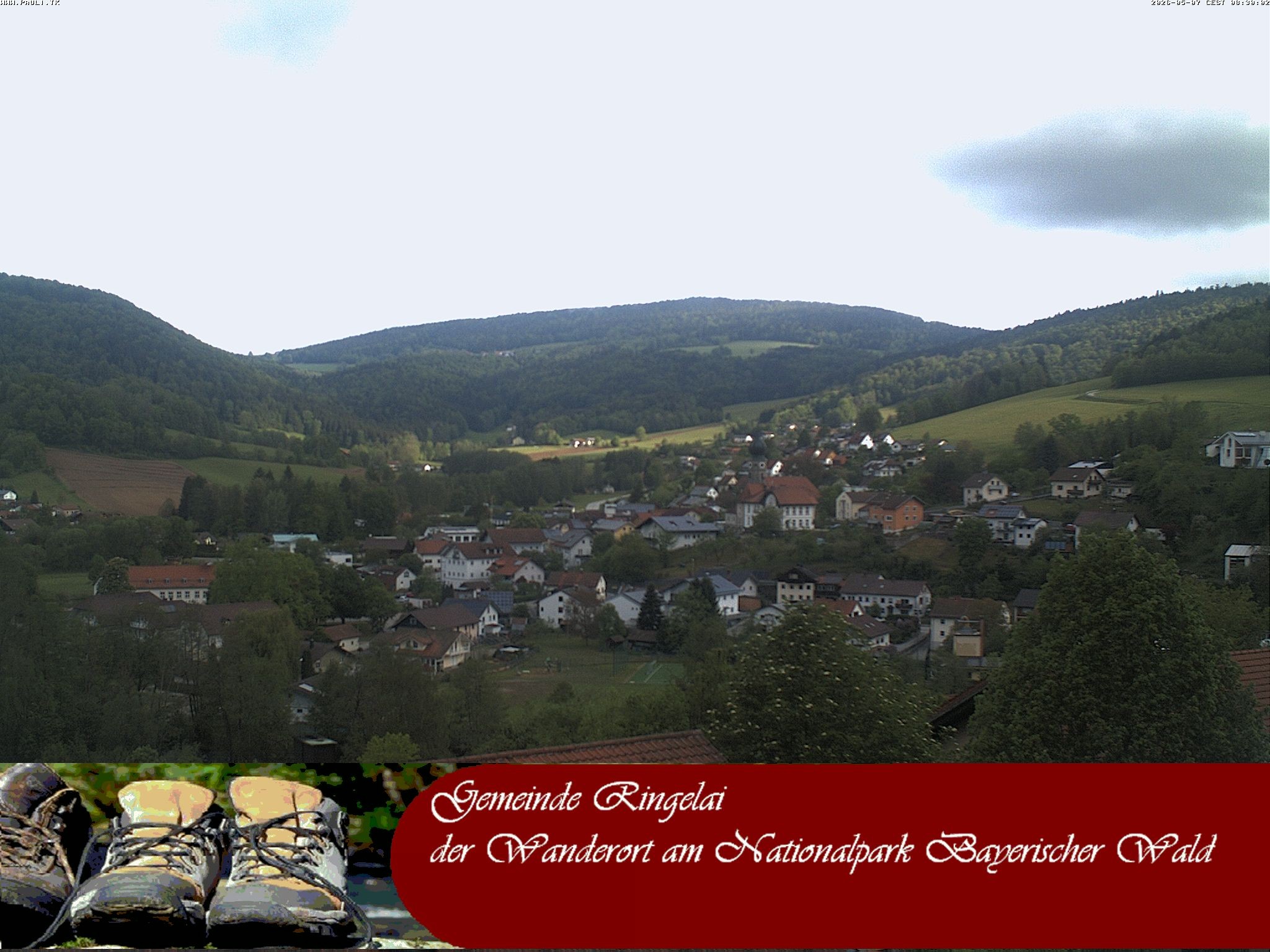 Archiv Foto Webcam Ringelai
