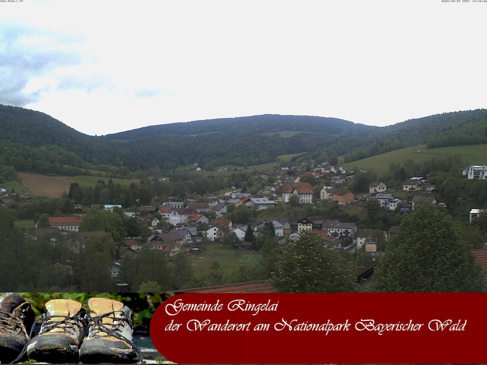 Archiv Foto Webcam Ringelai