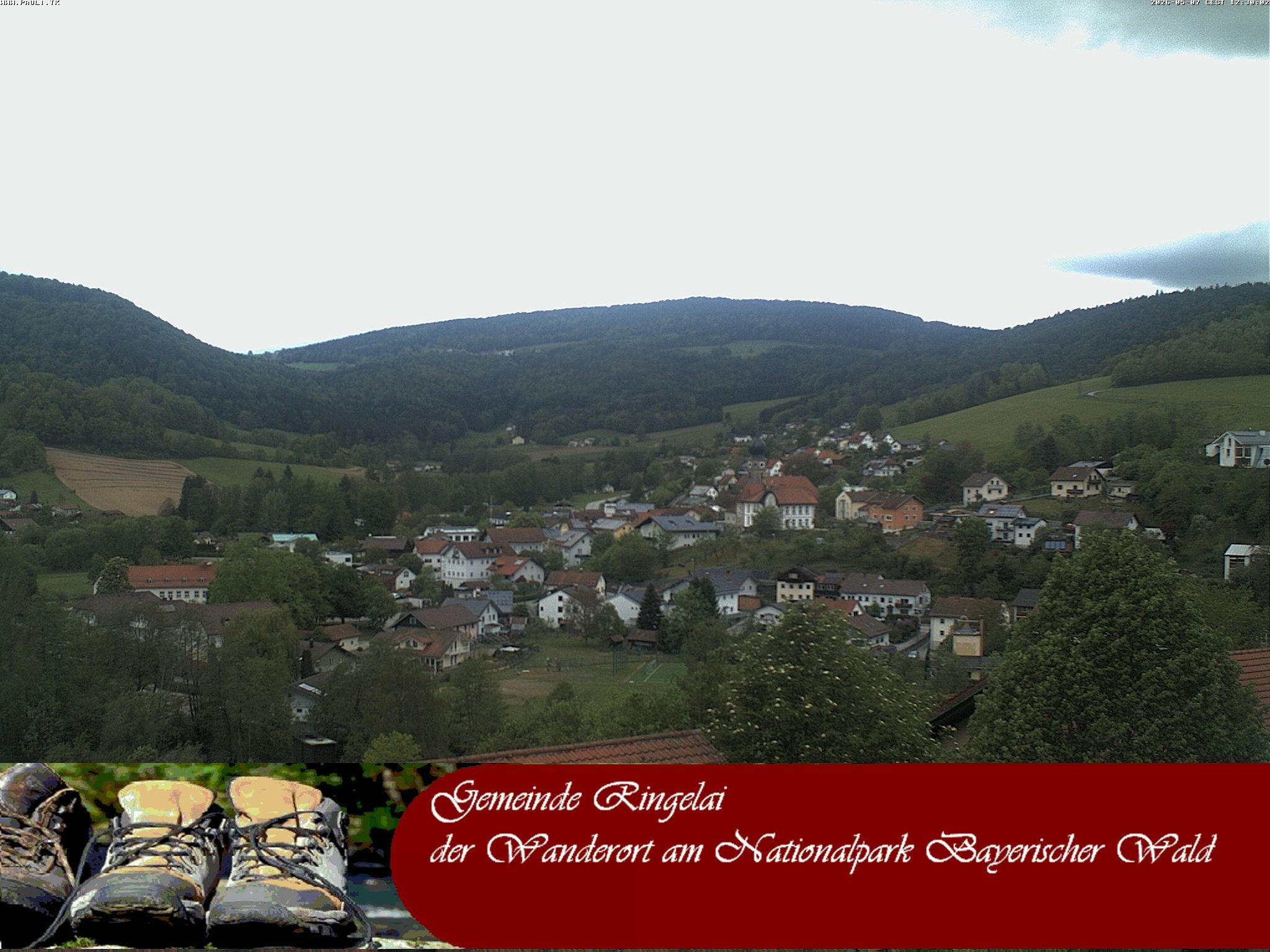 Archiv Foto Webcam Ringelai
