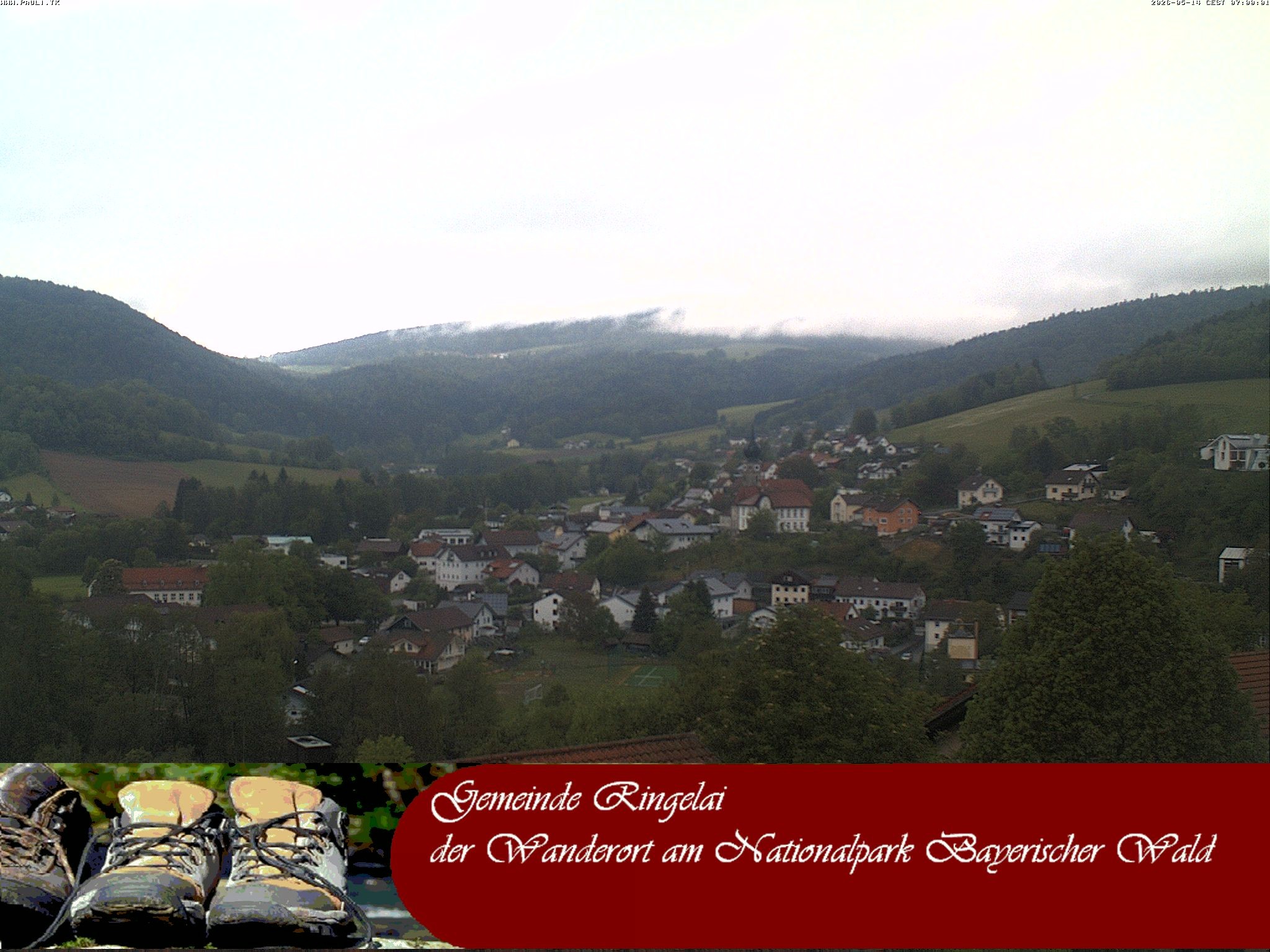 Archiv Foto Webcam Ringelai
