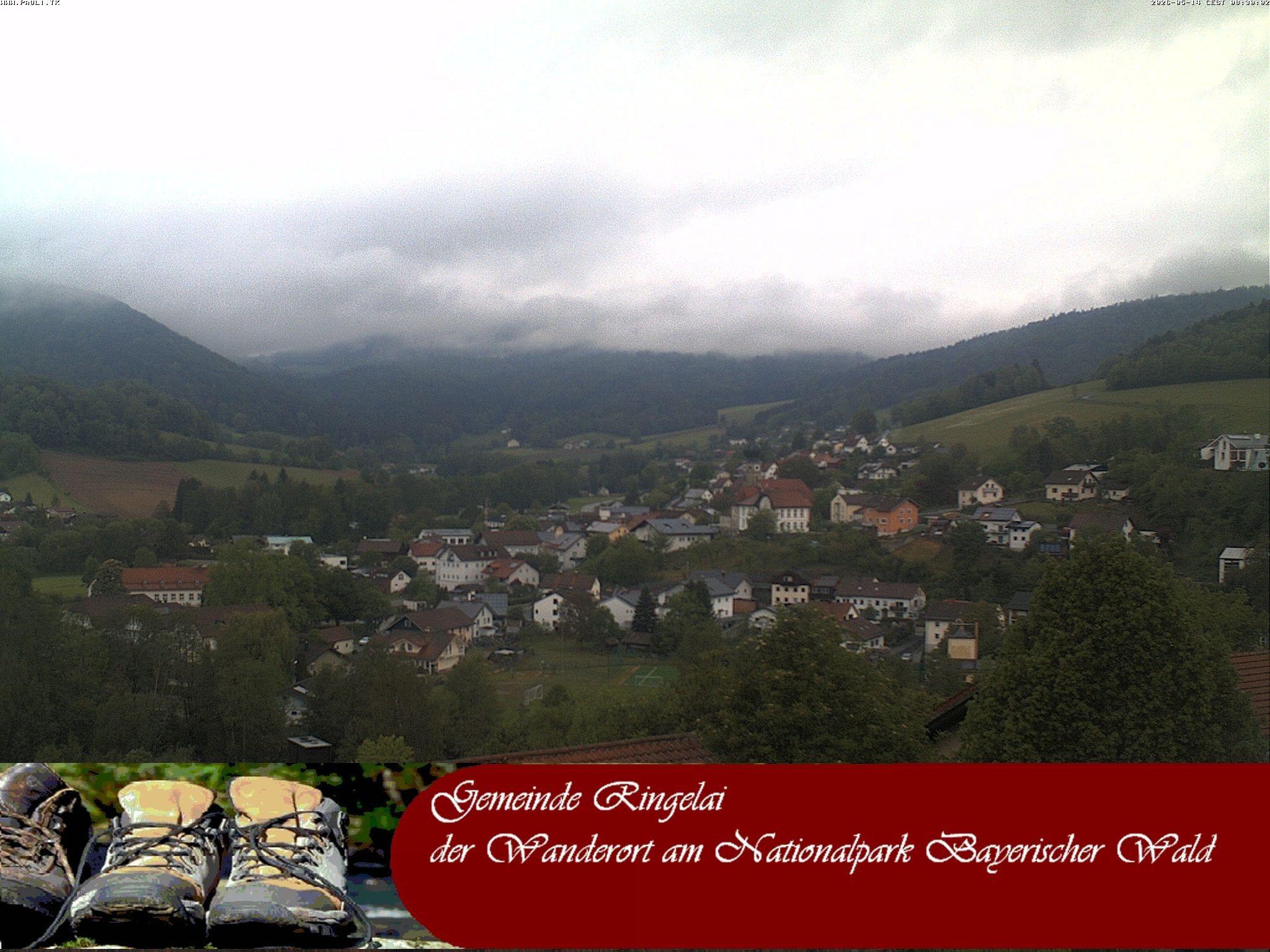 Archiv Foto Webcam Ringelai