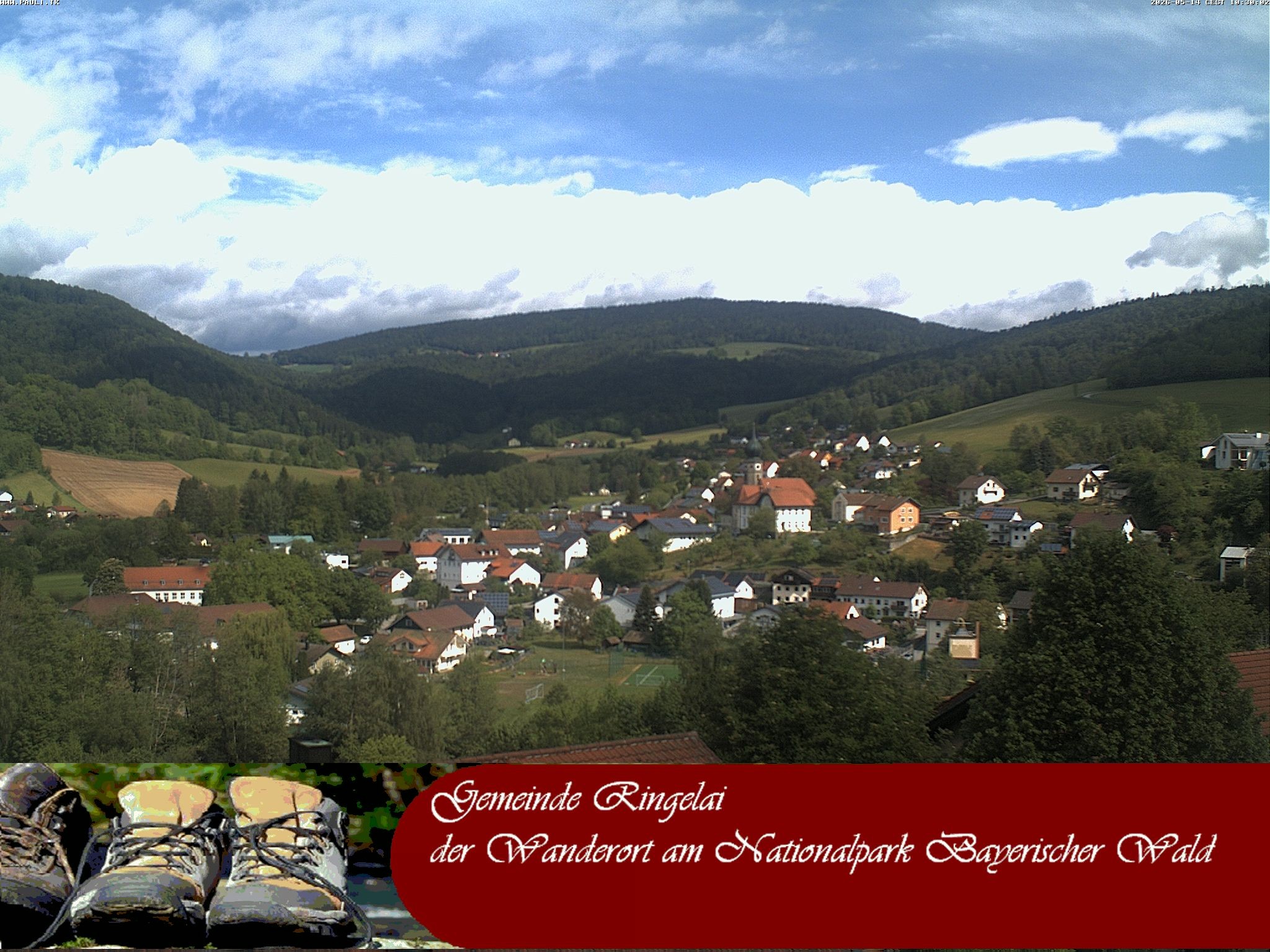 Archiv Foto Webcam Ringelai