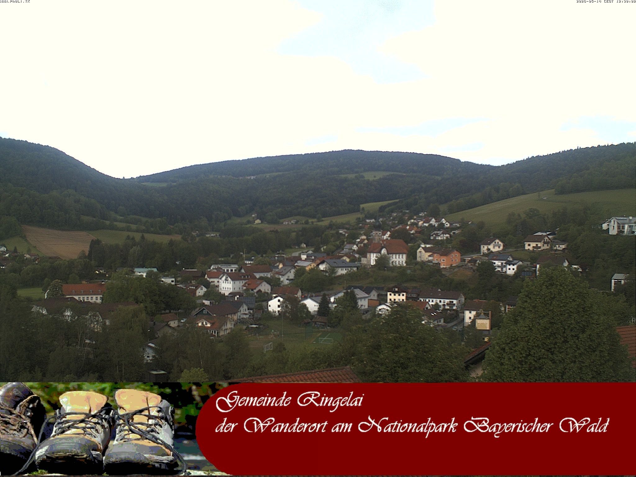 Archiv Foto Webcam Ringelai