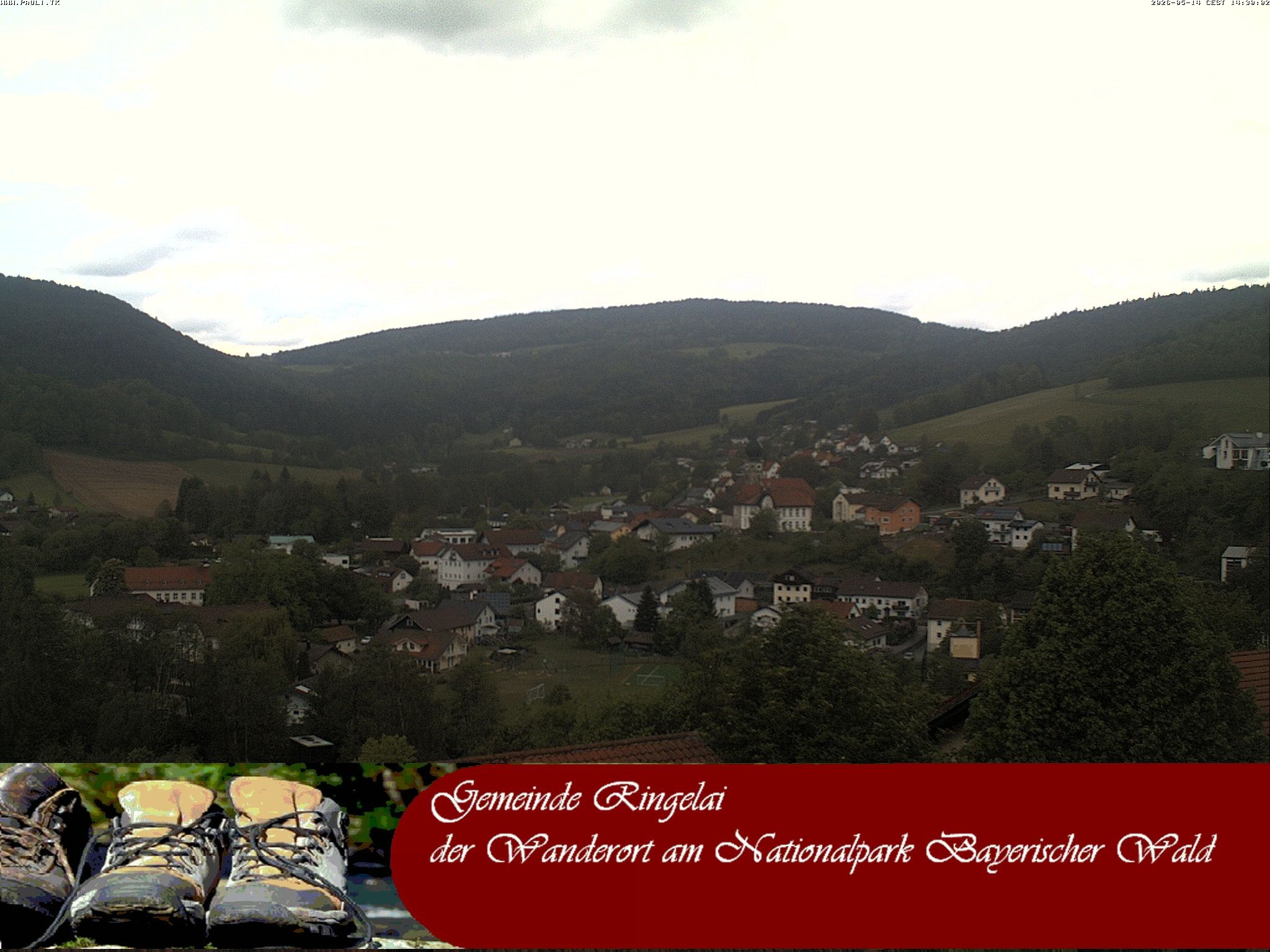 Archiv Foto Webcam Ringelai