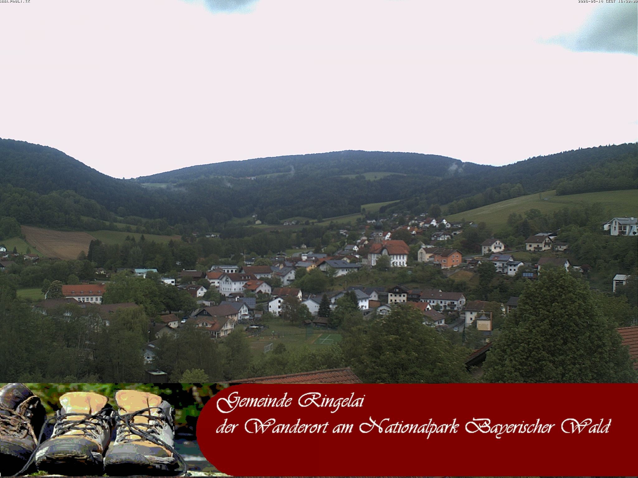Archiv Foto Webcam Ringelai