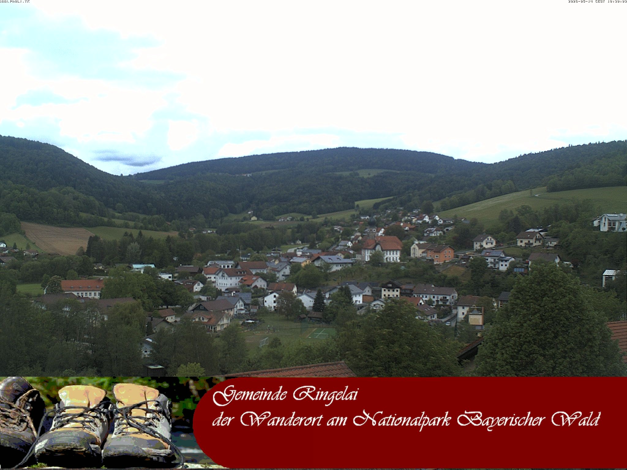 Archiv Foto Webcam Ringelai
