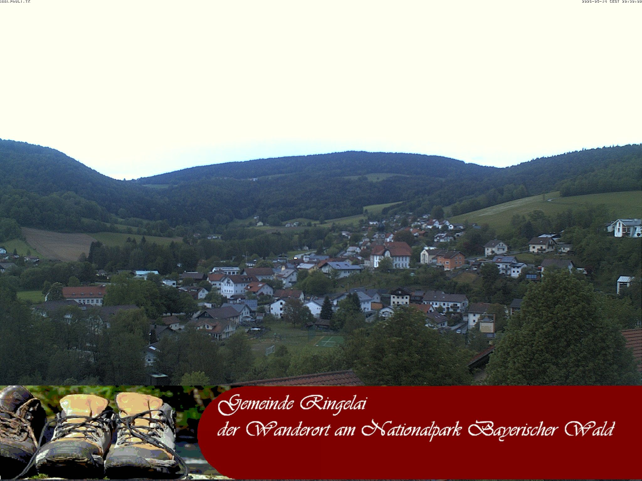Archiv Foto Webcam Ringelai