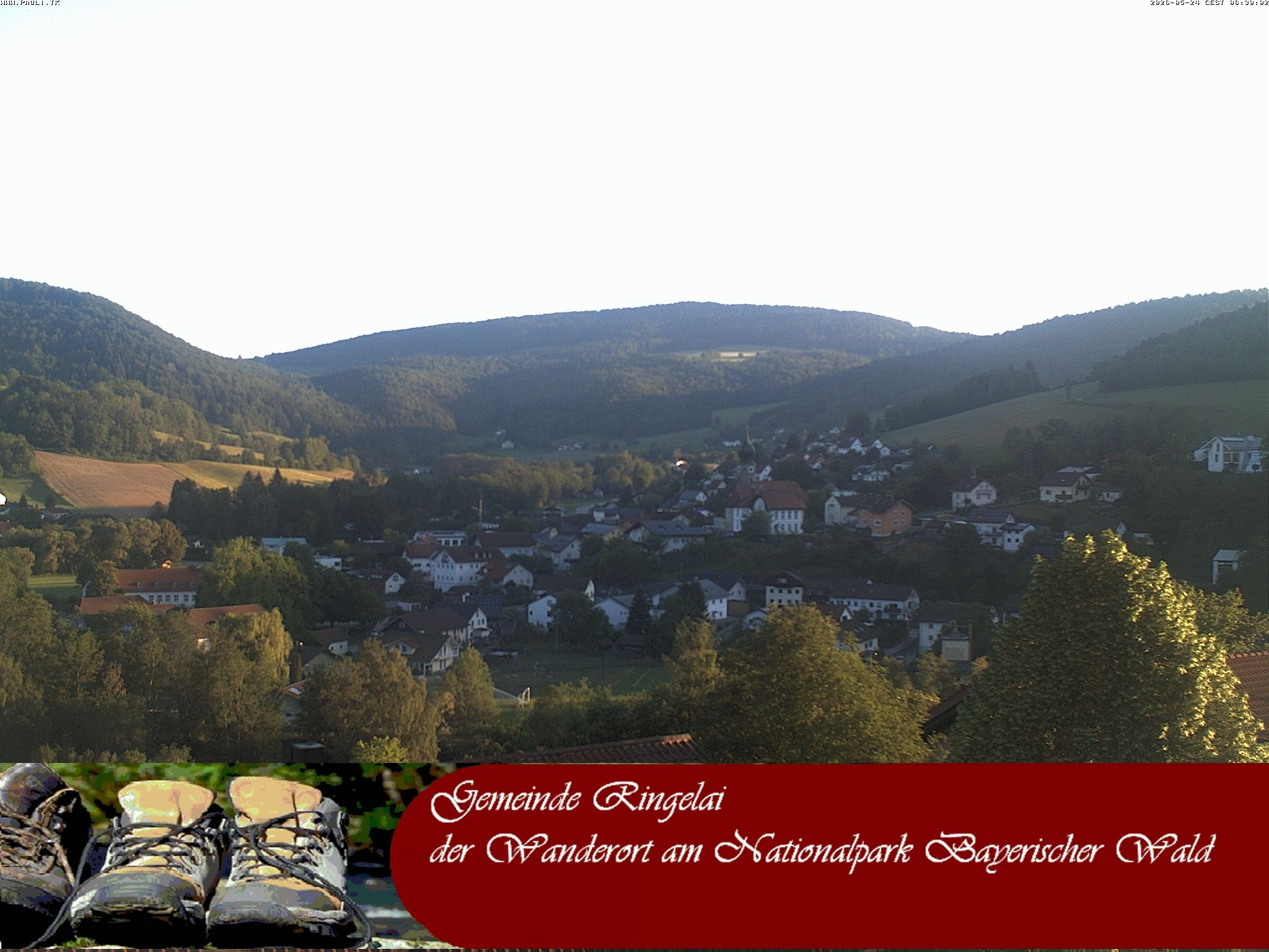 Archiv Foto Webcam Ringelai