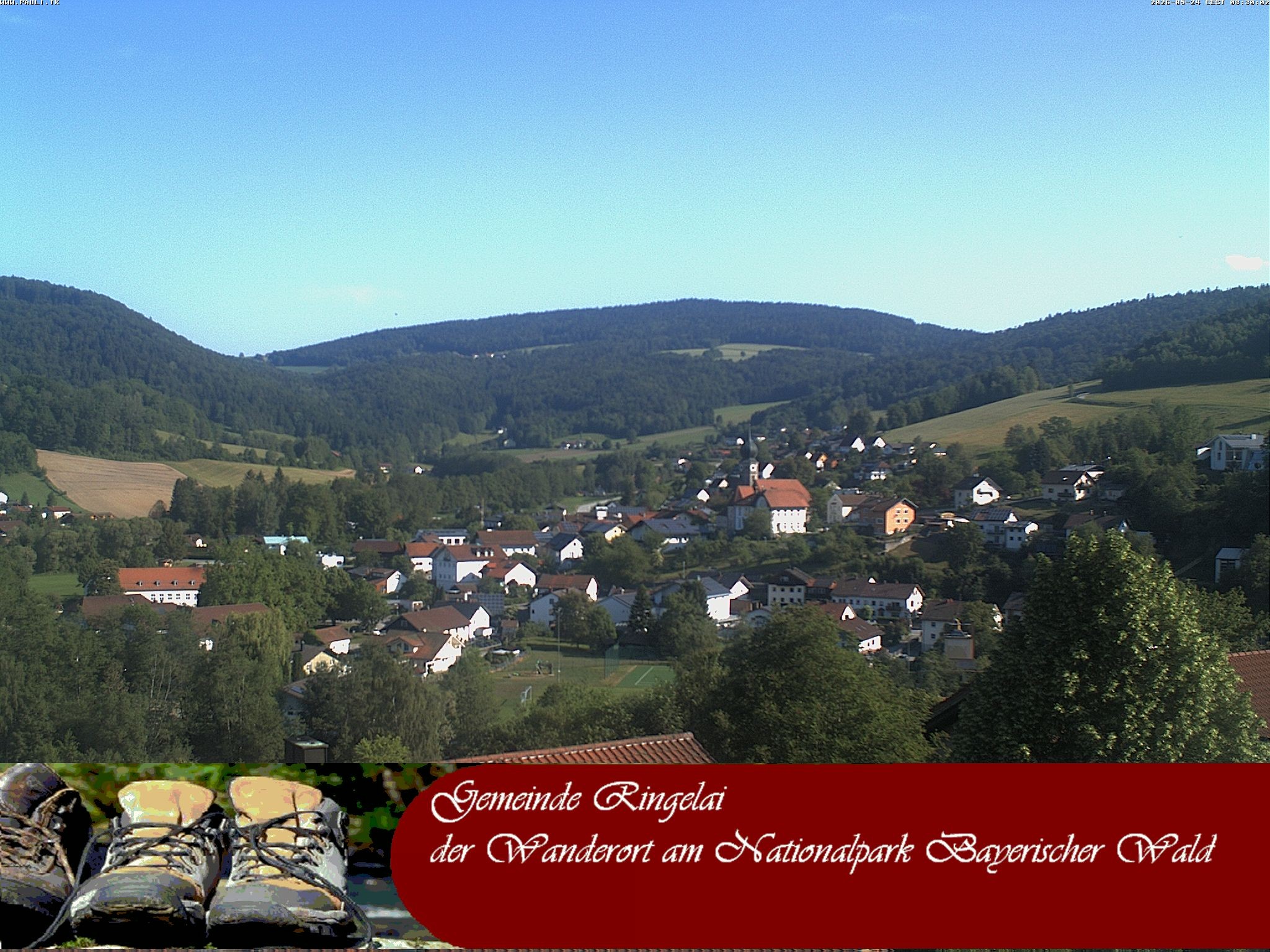 Archiv Foto Webcam Ringelai