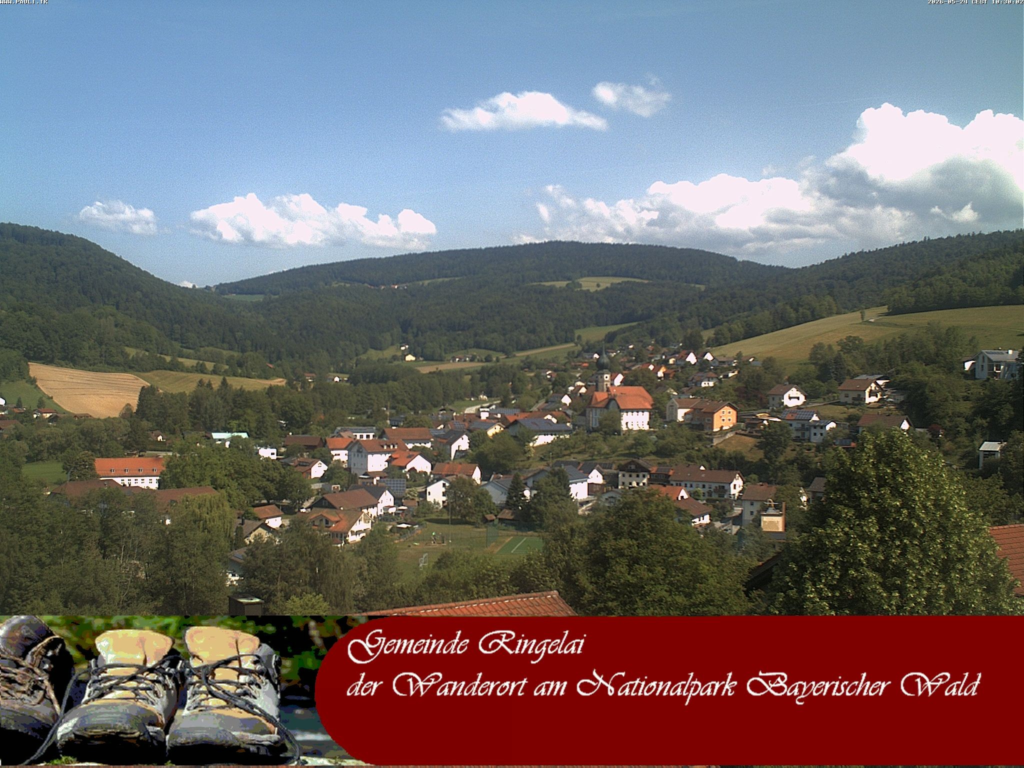 Archiv Foto Webcam Ringelai