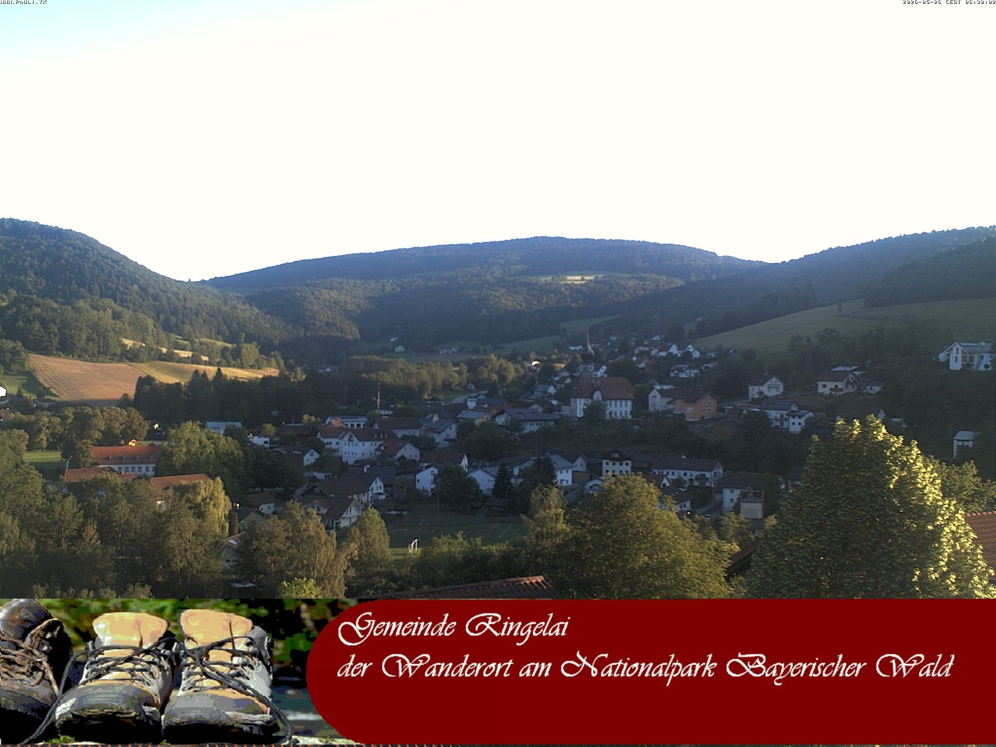 Archiv Foto Webcam Ringelai
