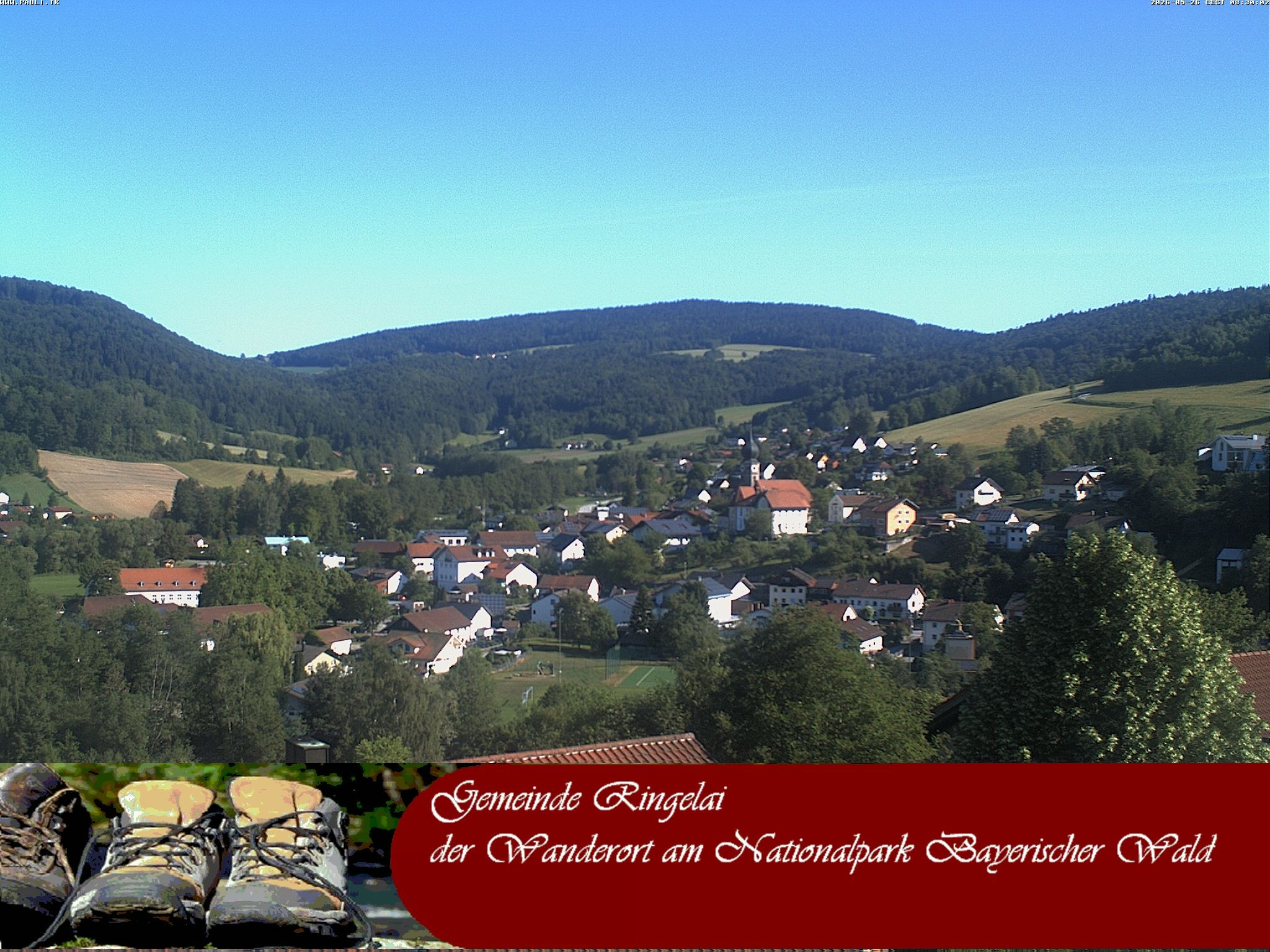 Archiv Foto Webcam Ringelai