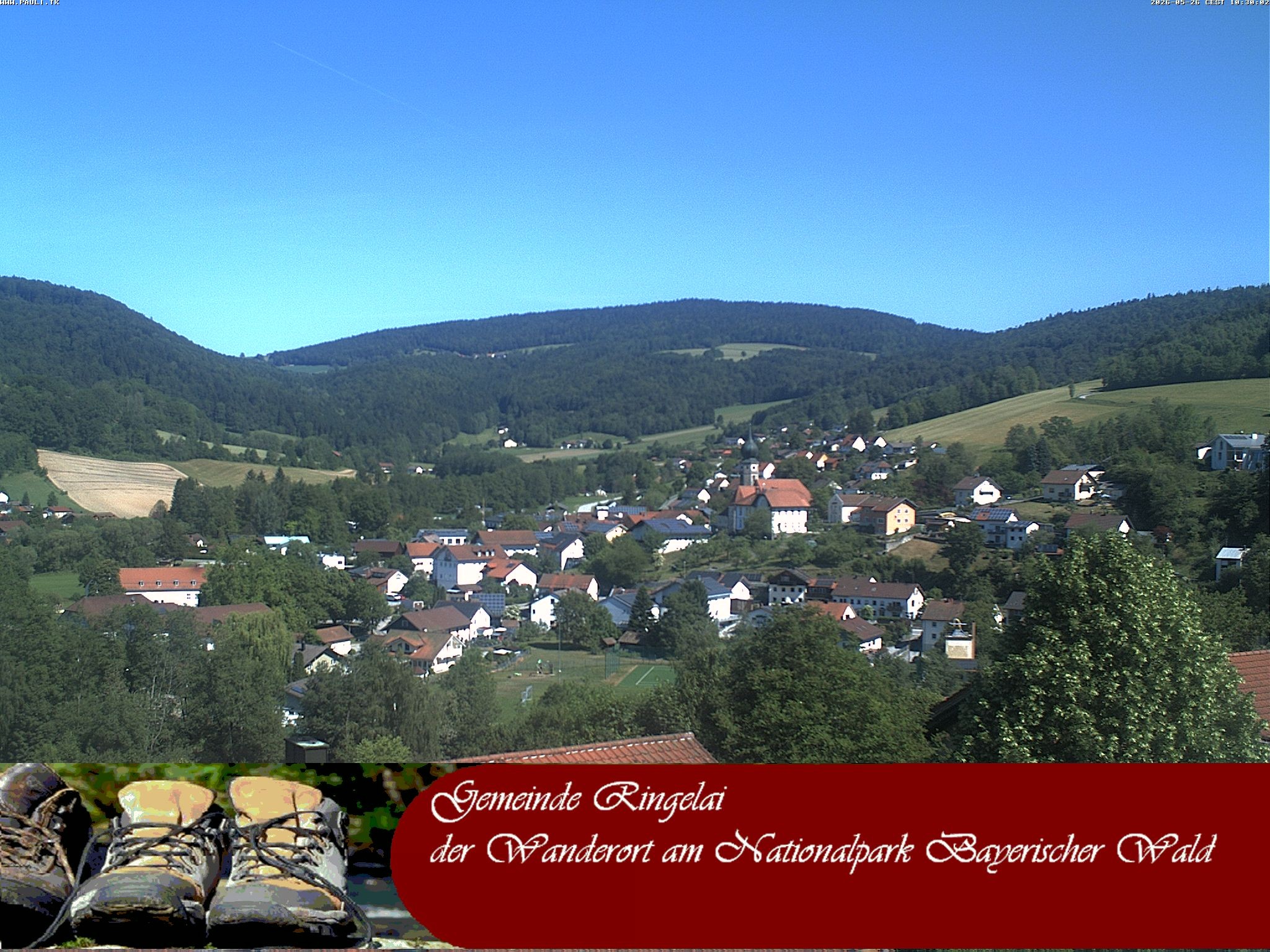 Archiv Foto Webcam Ringelai