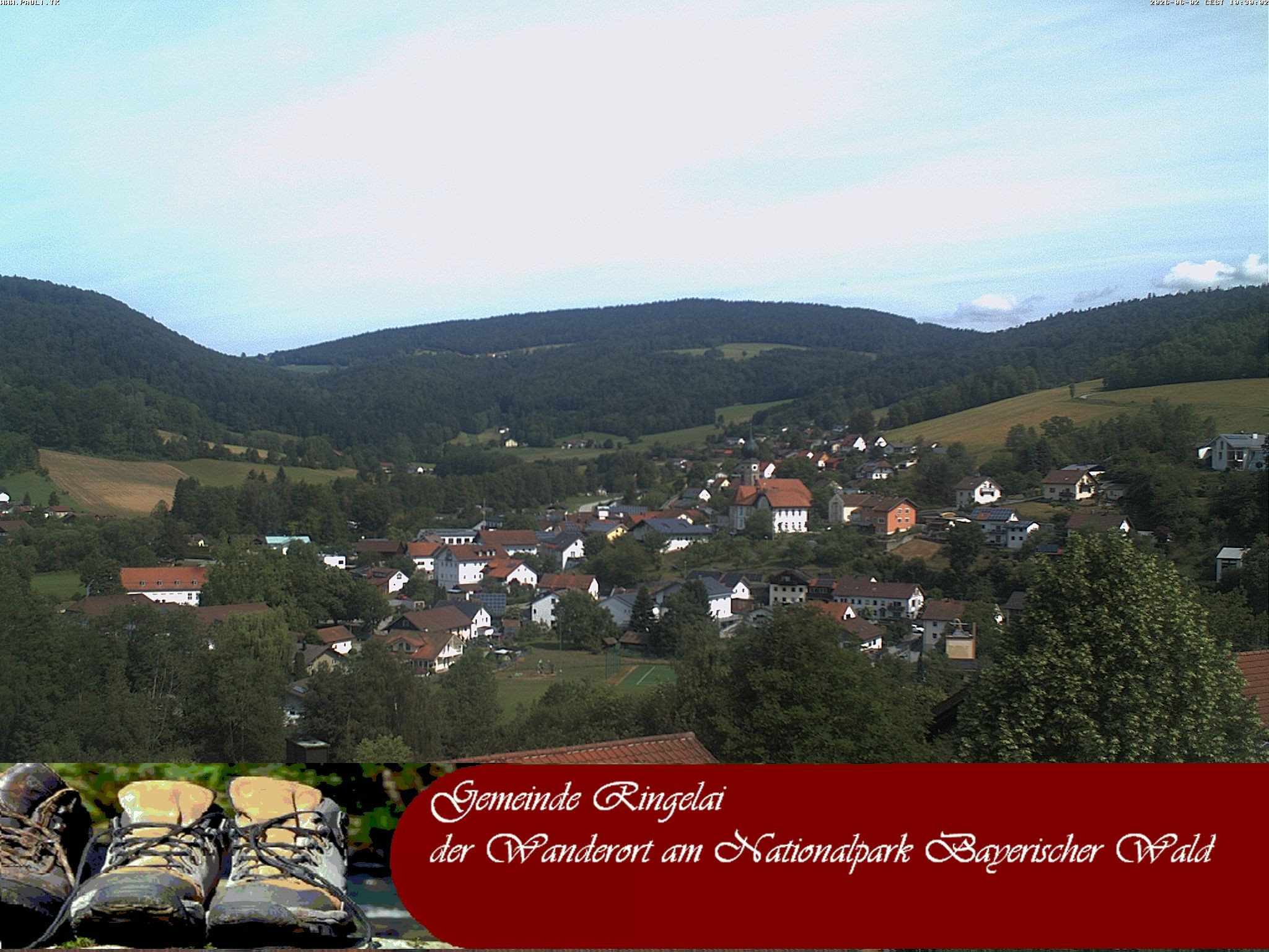 Archiv Foto Webcam Ringelai