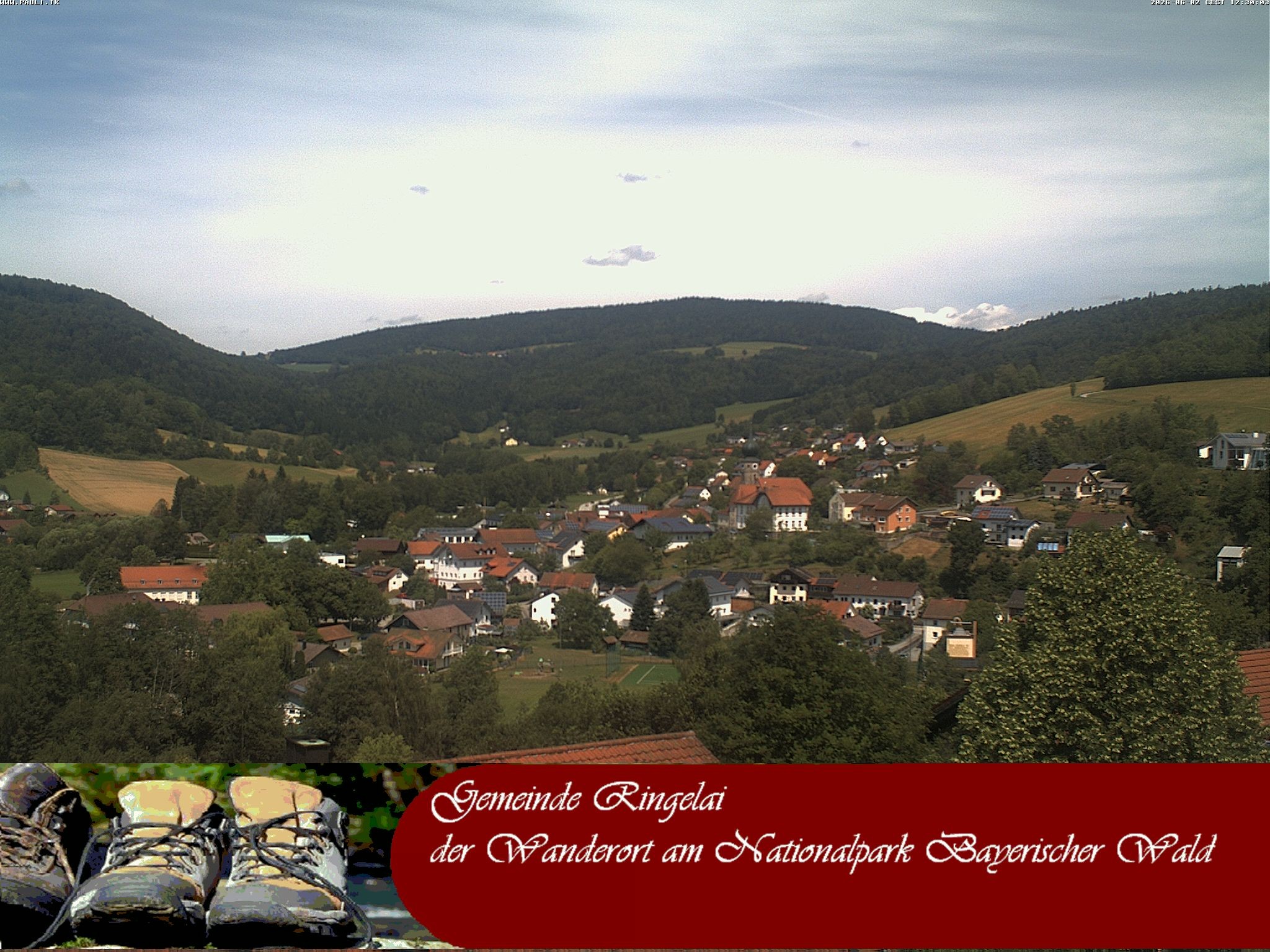 Archiv Foto Webcam Ringelai