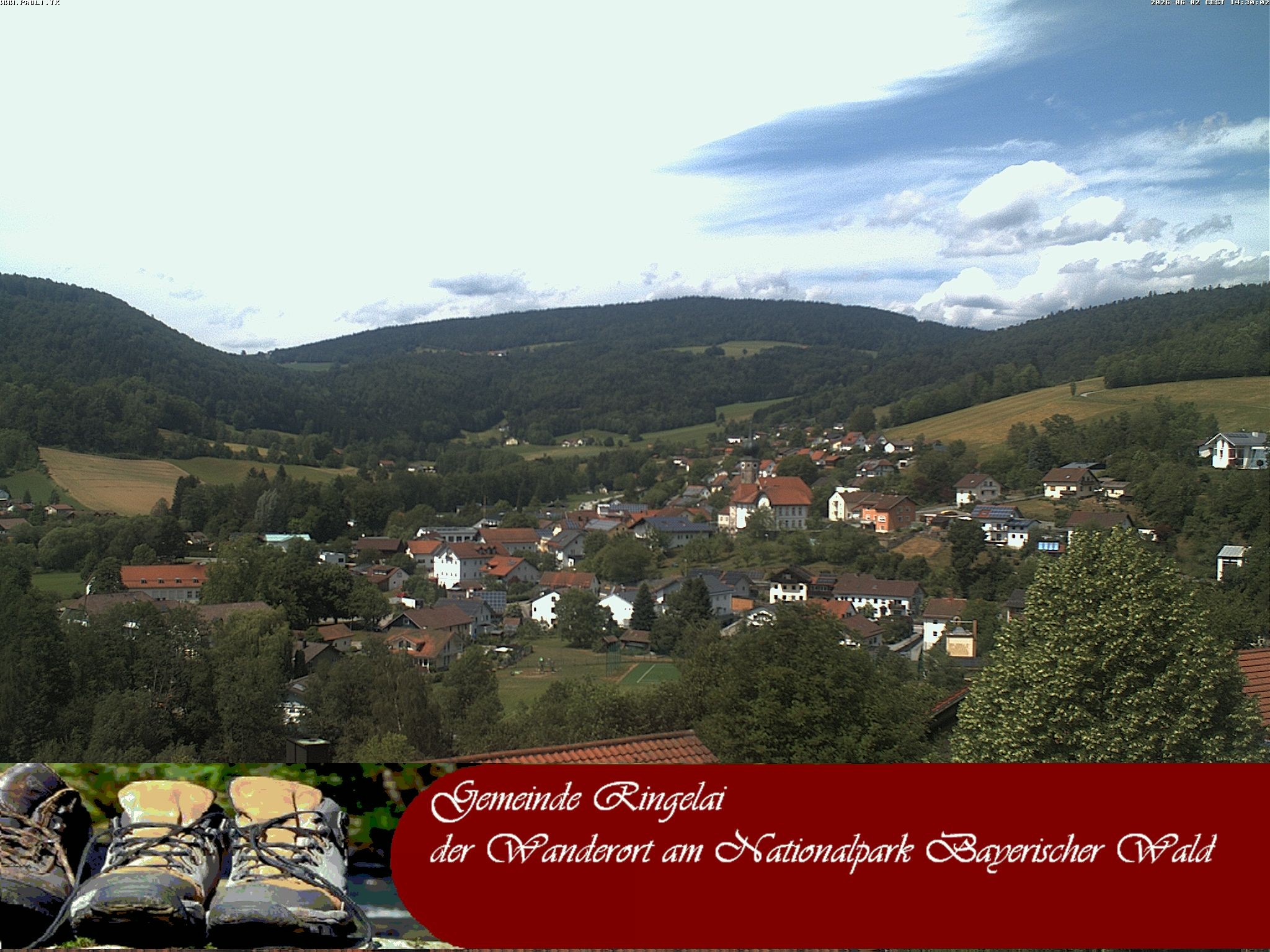 Archiv Foto Webcam Ringelai
