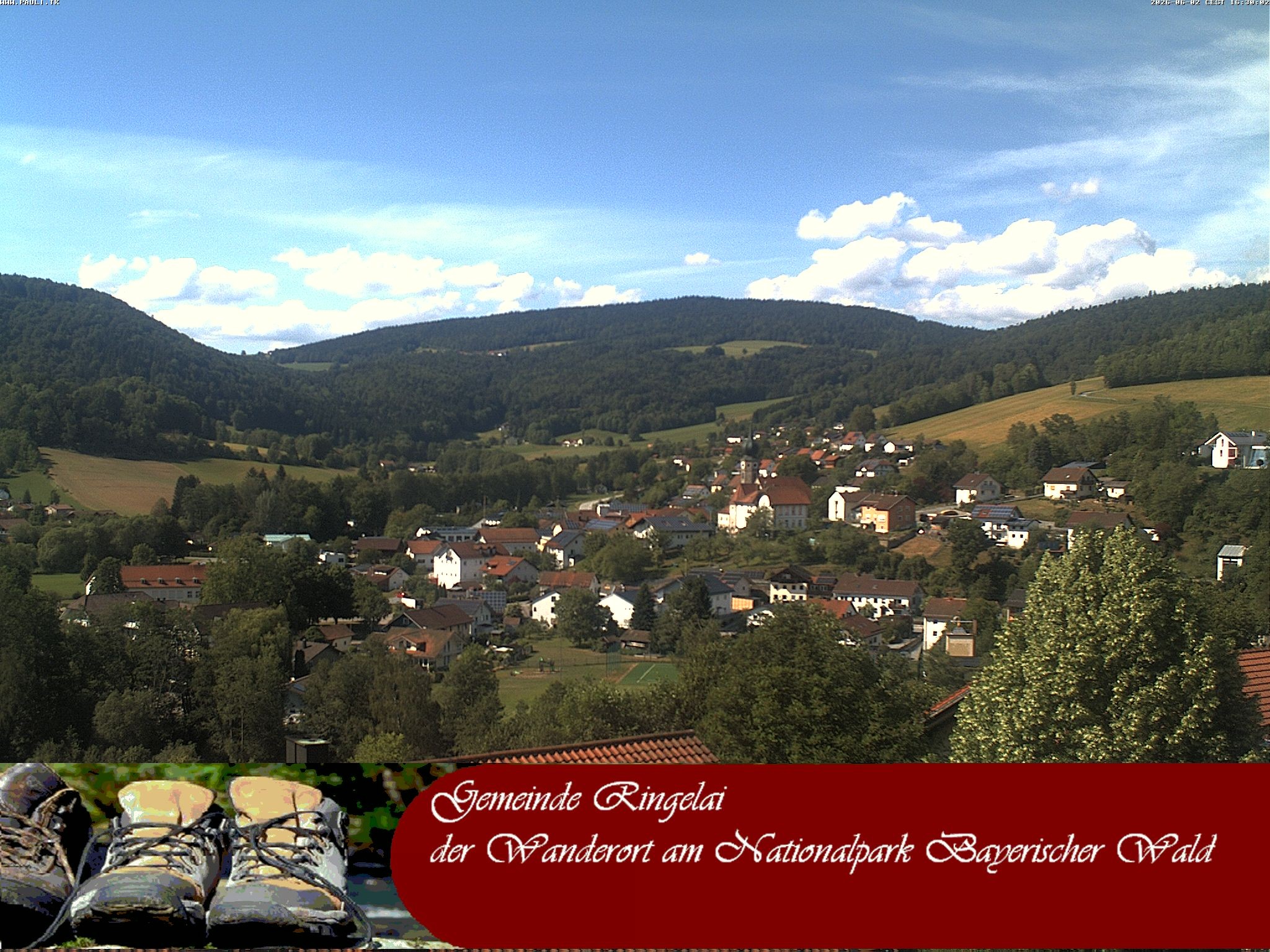 Archiv Foto Webcam Ringelai