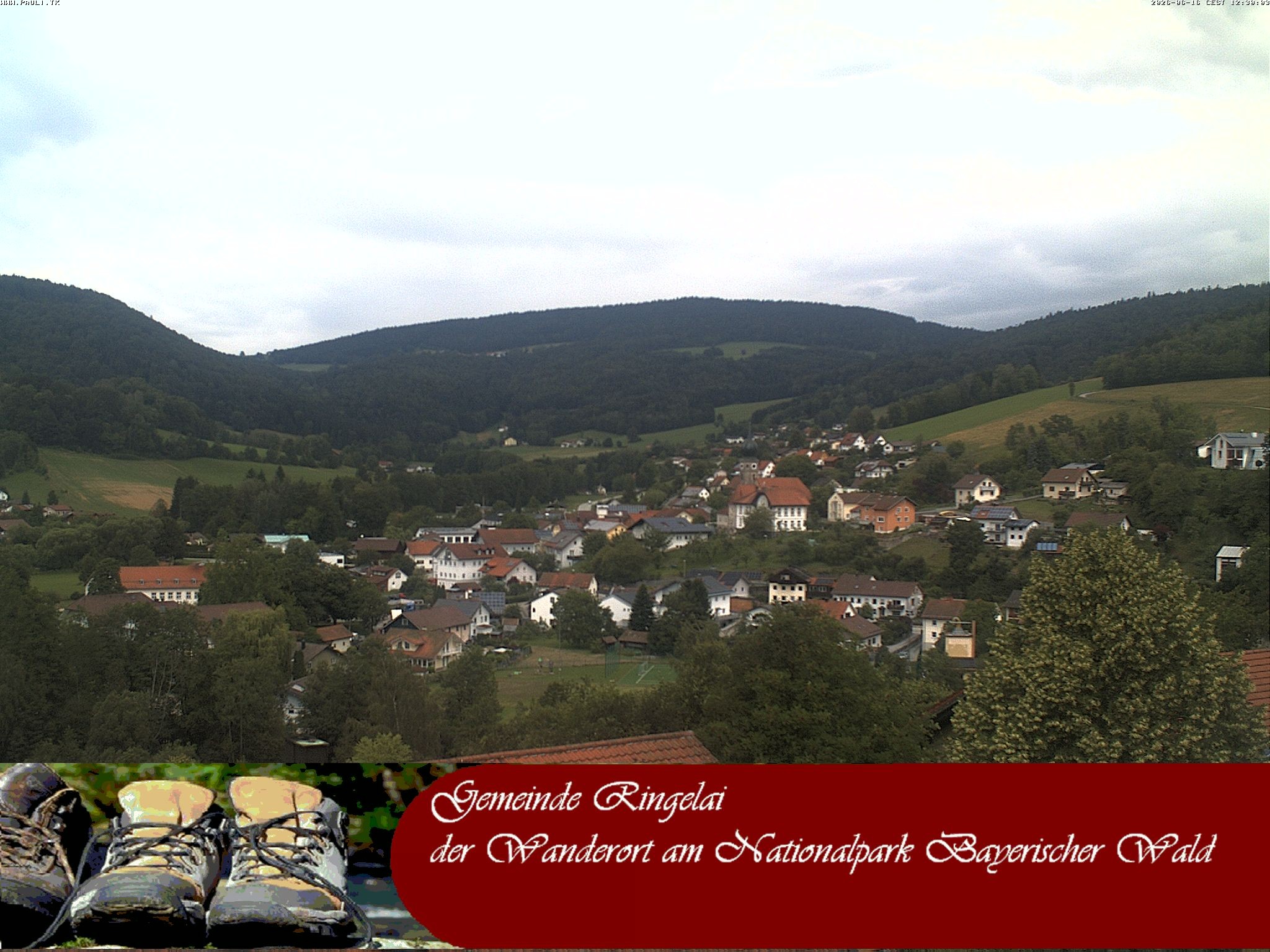 Archiv Foto Webcam Ringelai