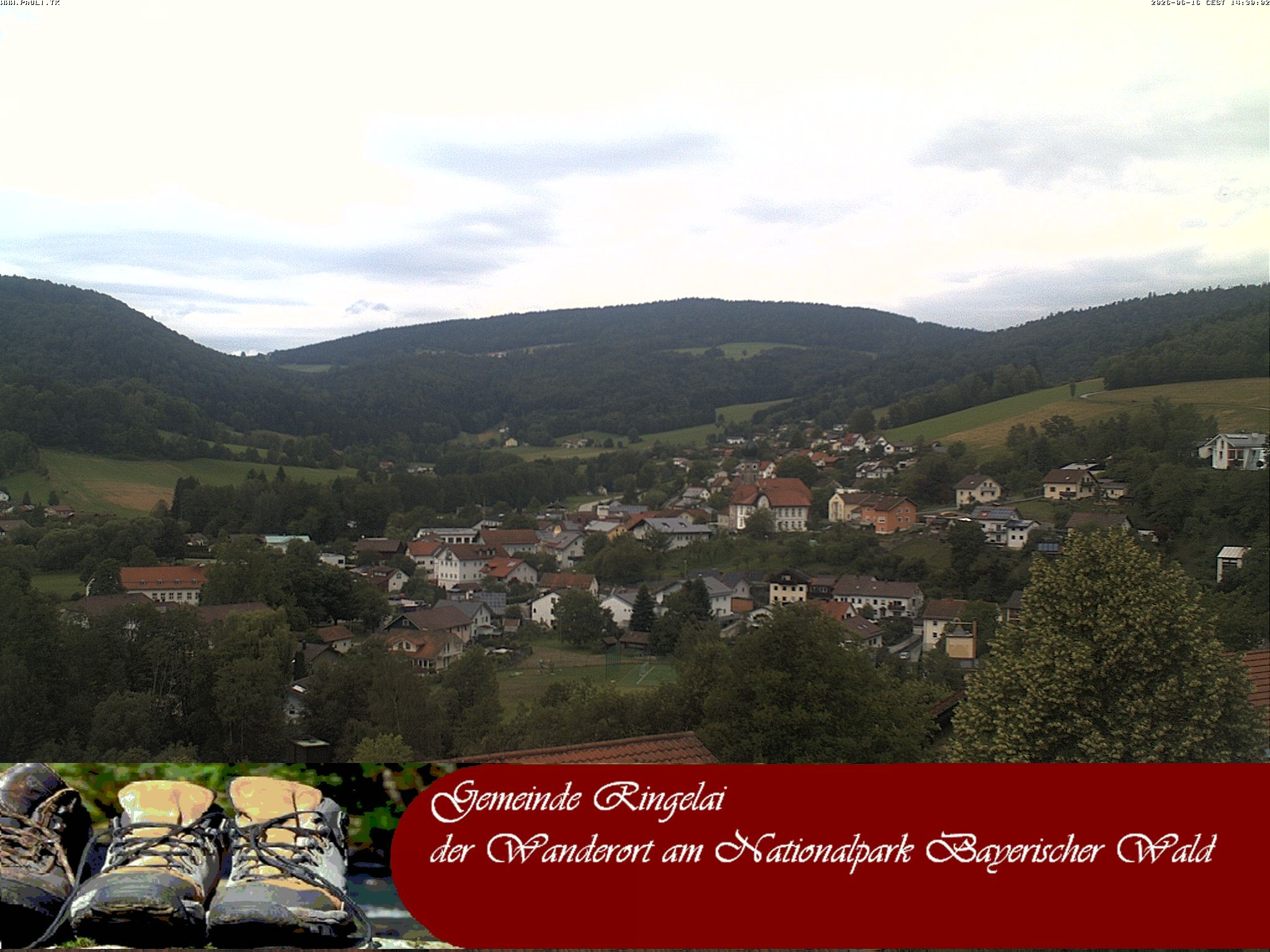 Archiv Foto Webcam Ringelai