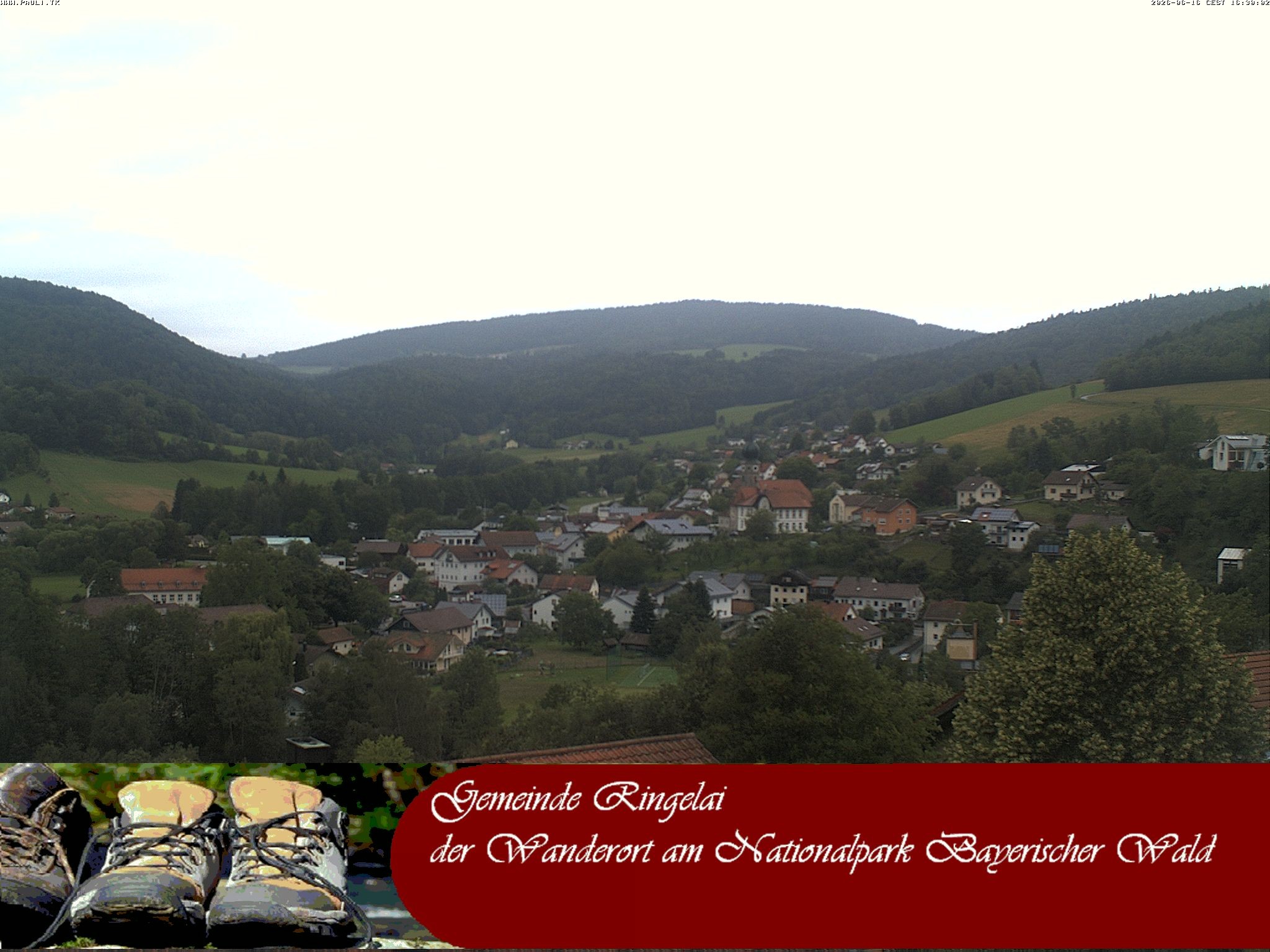 Archiv Foto Webcam Ringelai