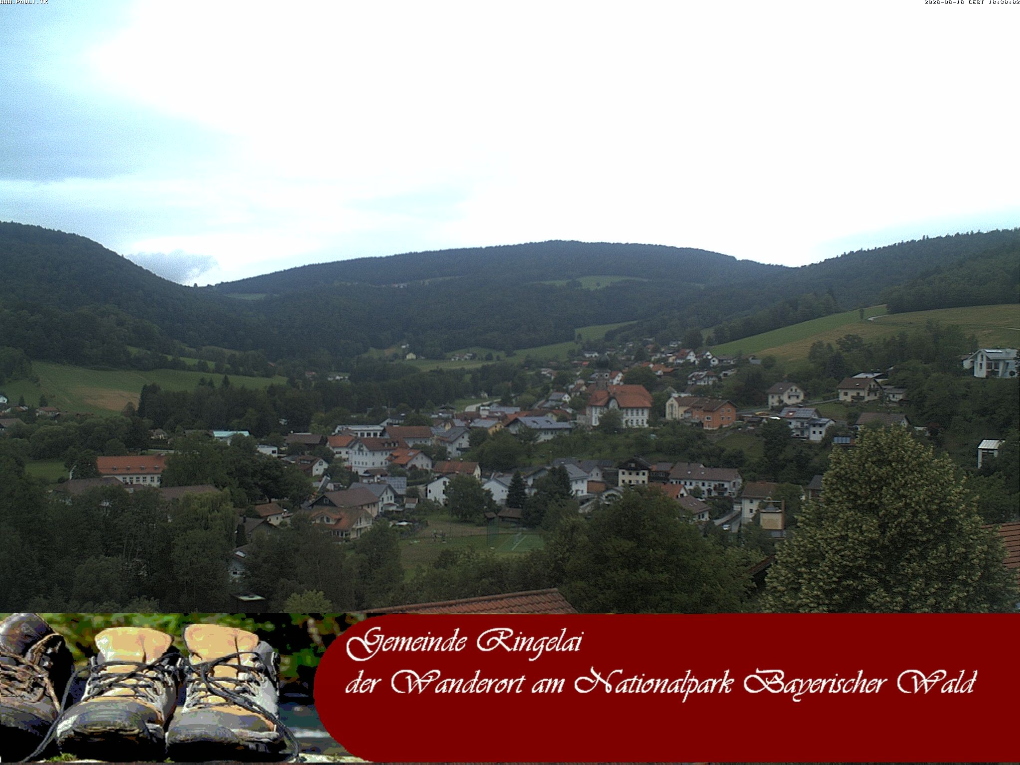 Archiv Foto Webcam Ringelai