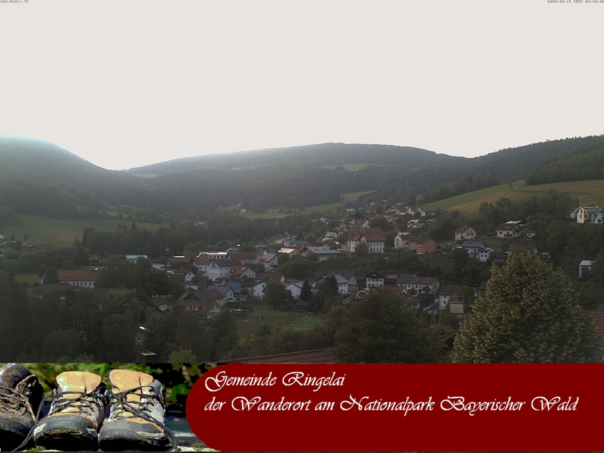 Archiv Foto Webcam Ringelai
